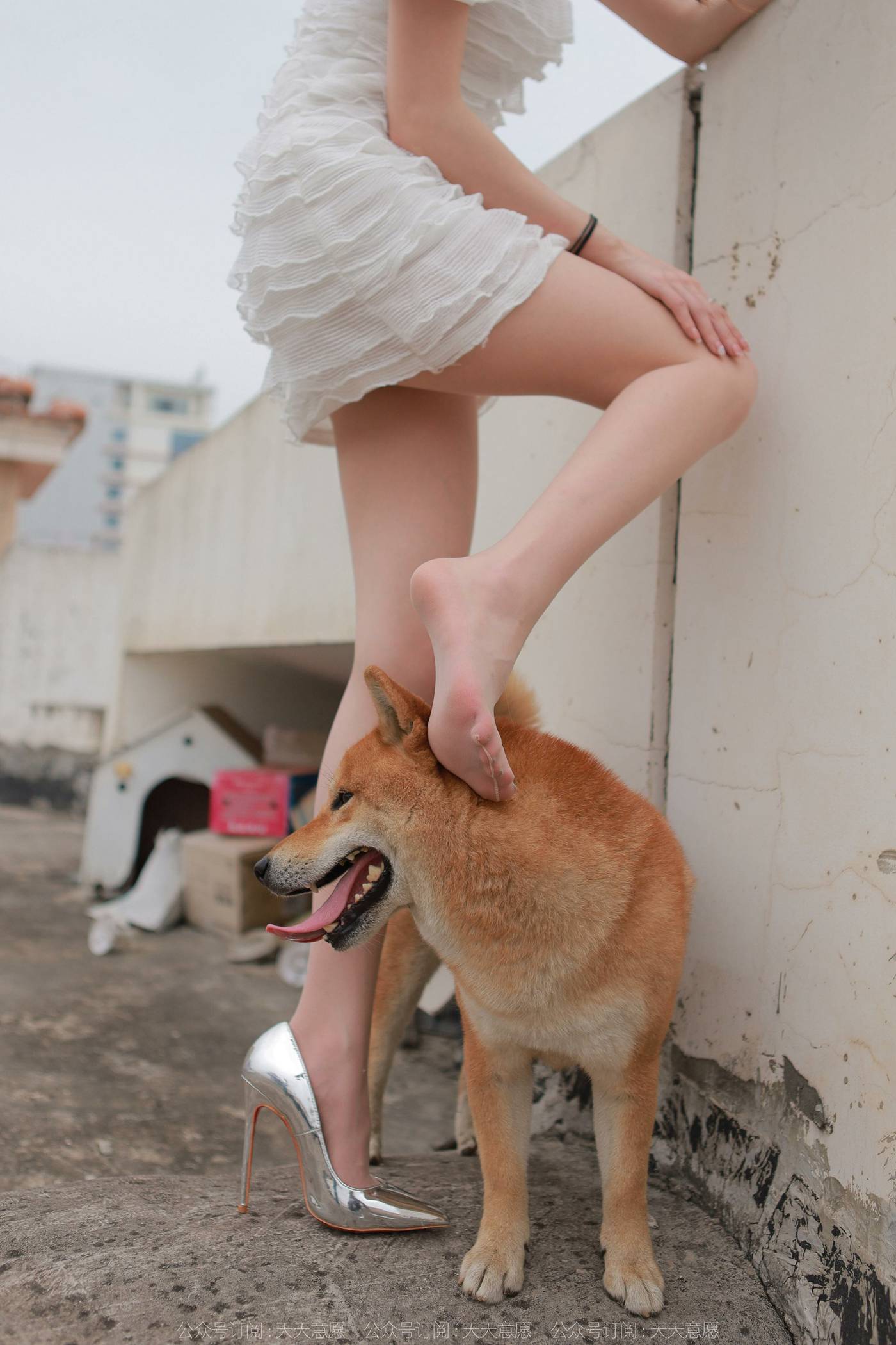 图片[80]-[IESS异思趣向]2021.11.25 丝享家979：佳爷《12月女神佳爷-特辑》[93P] – 速更版-美库