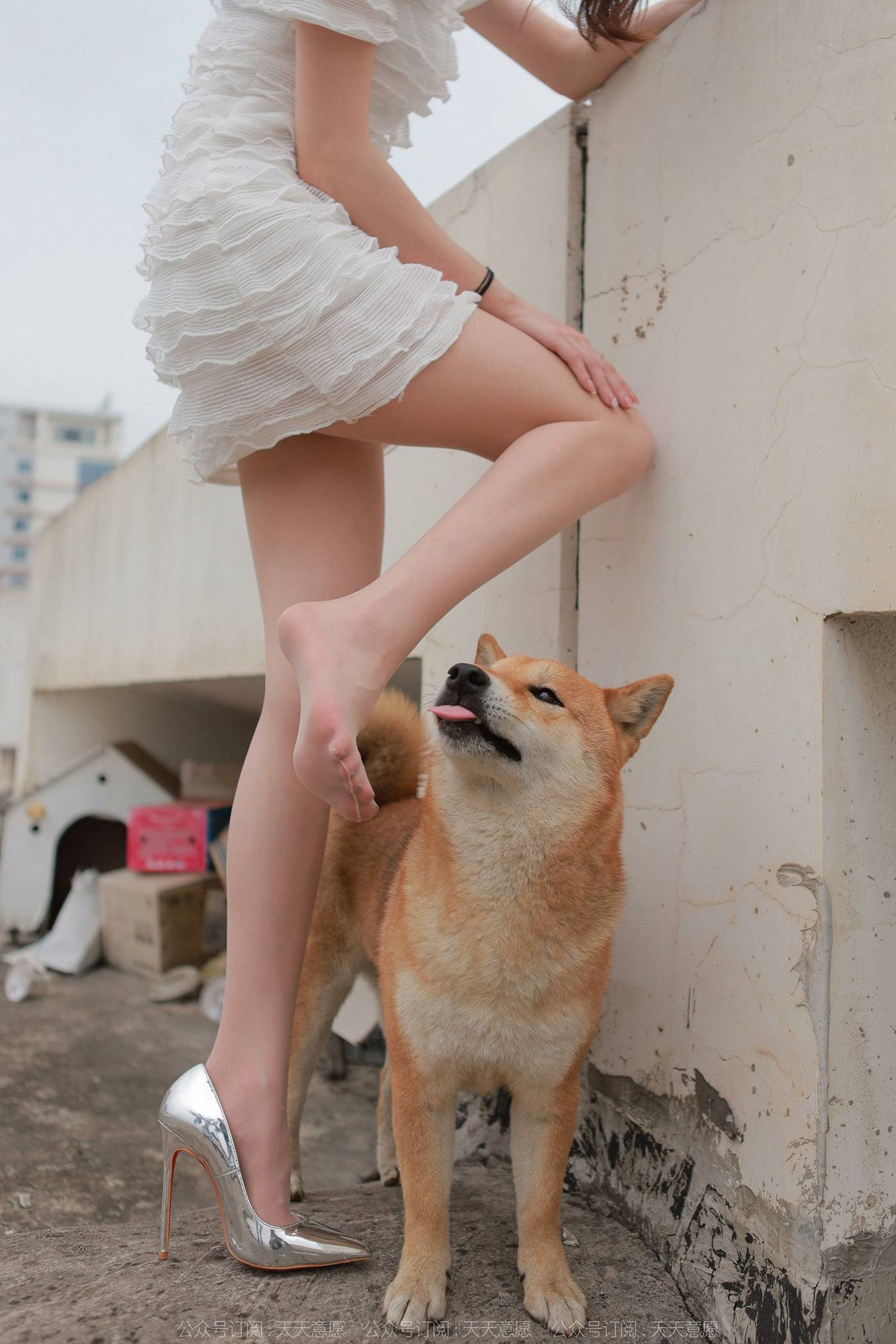 图片[82]-[IESS异思趣向]2021.11.25 丝享家979：佳爷《12月女神佳爷-特辑》[93P] – 速更版-美库