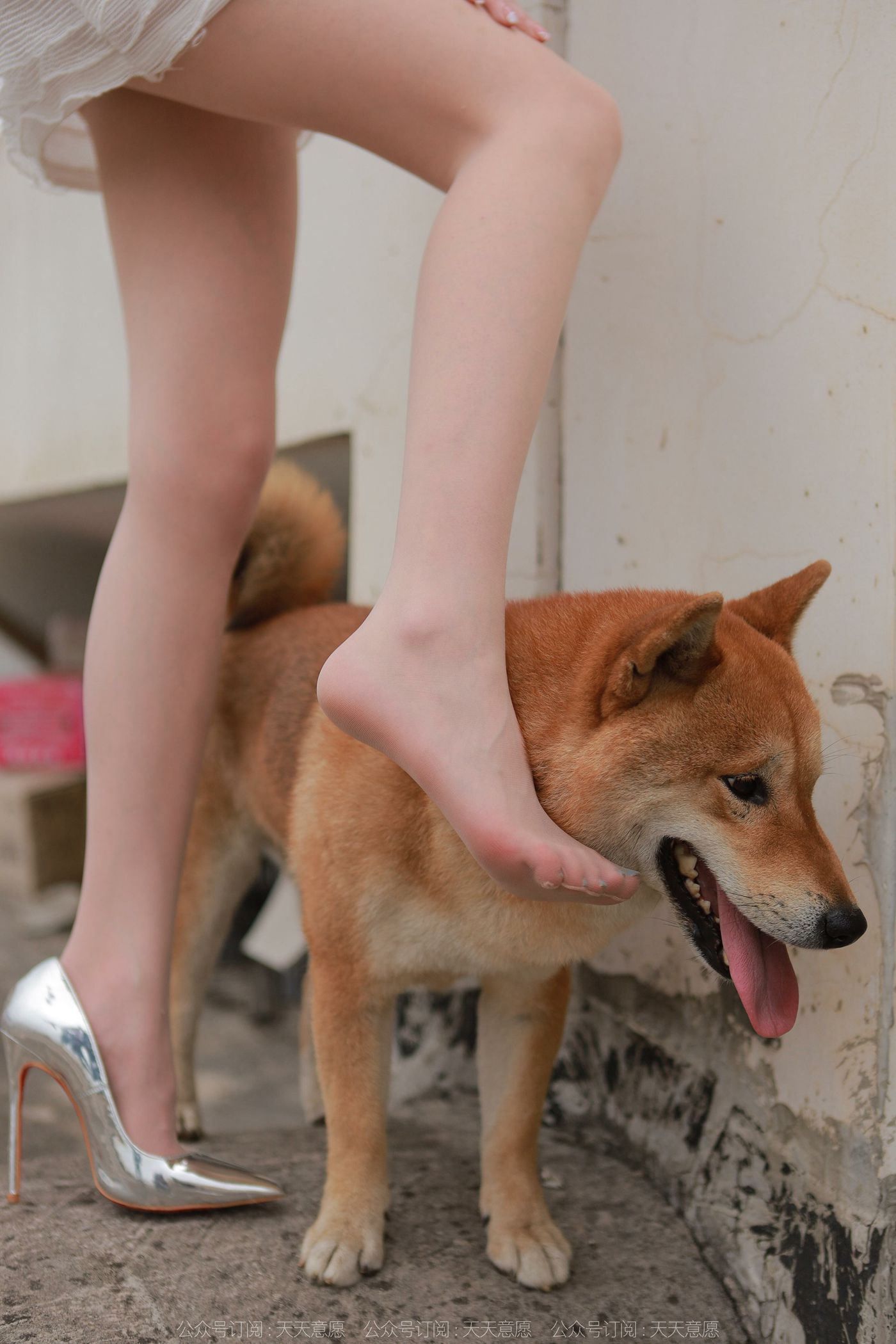 图片[83]-[IESS异思趣向]2021.11.25 丝享家979：佳爷《12月女神佳爷-特辑》[93P] – 速更版-美库