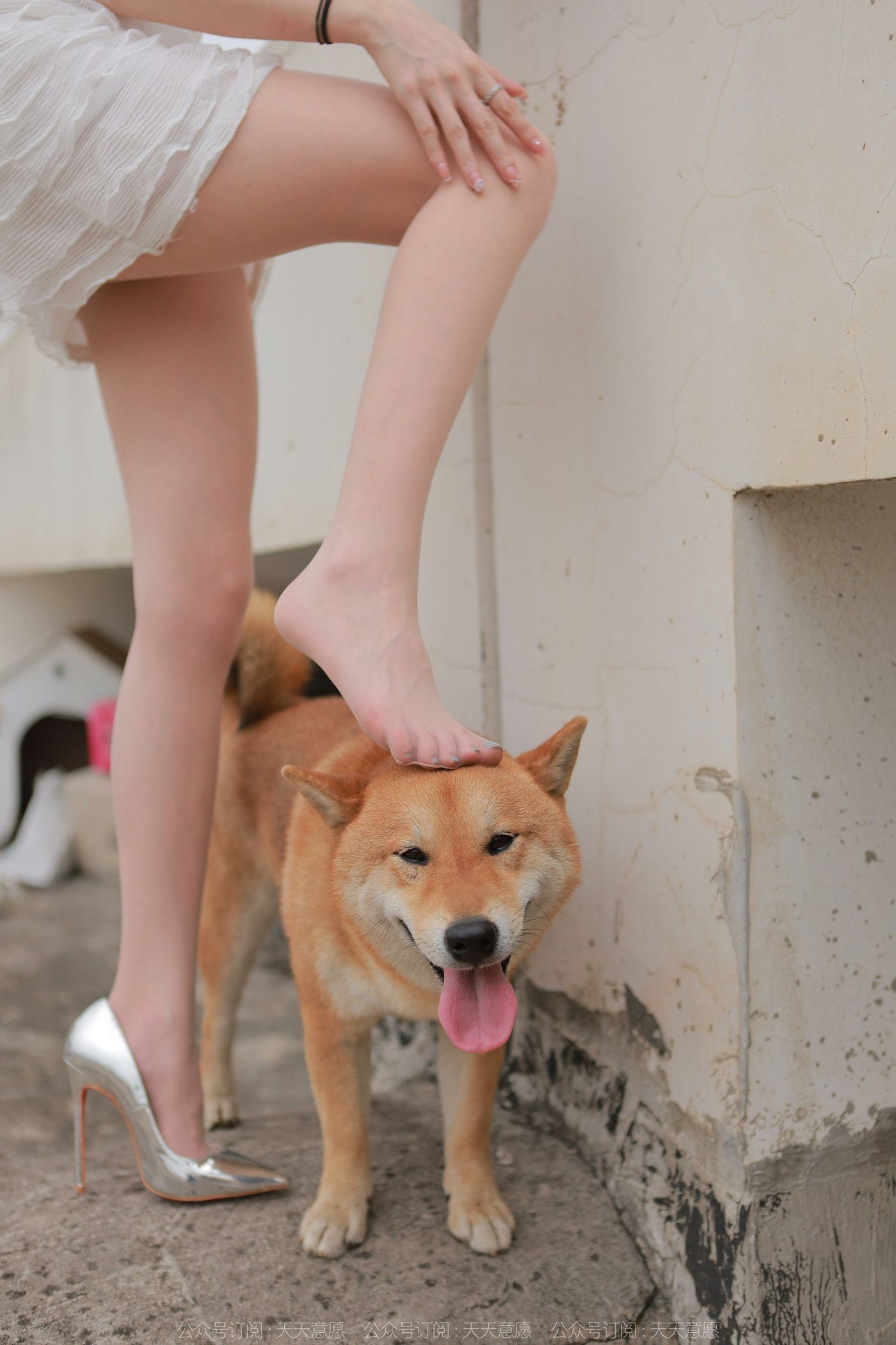 图片[85]-[IESS异思趣向]2021.11.25 丝享家979：佳爷《12月女神佳爷-特辑》[93P] – 速更版-美库