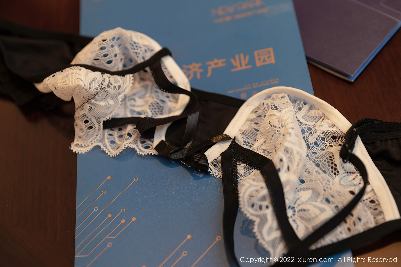 图片[31]-[Xiuren秀人网]2022.03.25 NO.4775 王雨纯[32+1P] – 速更版-美库