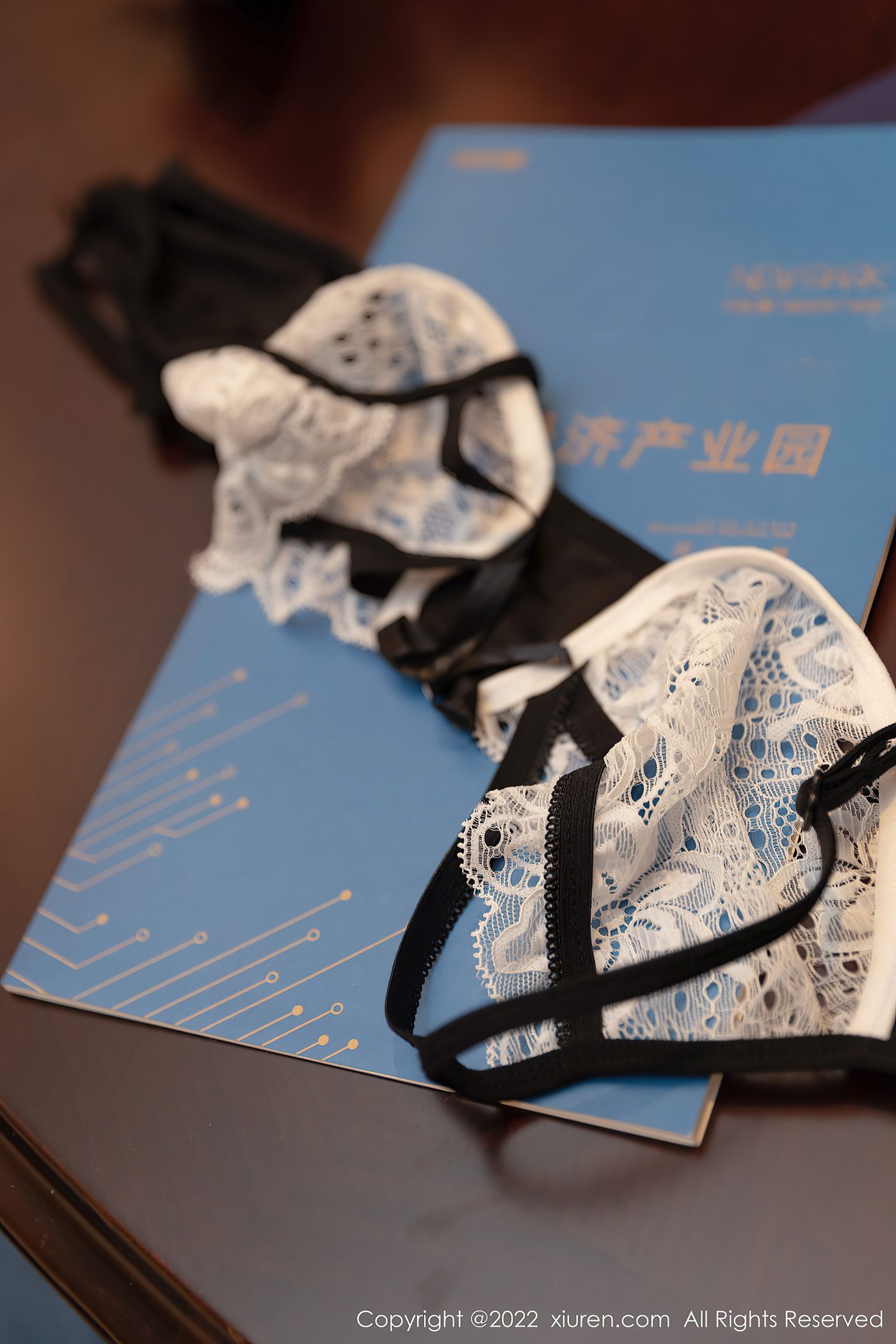 图片[32]-[Xiuren秀人网]2022.03.25 NO.4775 王雨纯[32+1P] – 速更版-美库