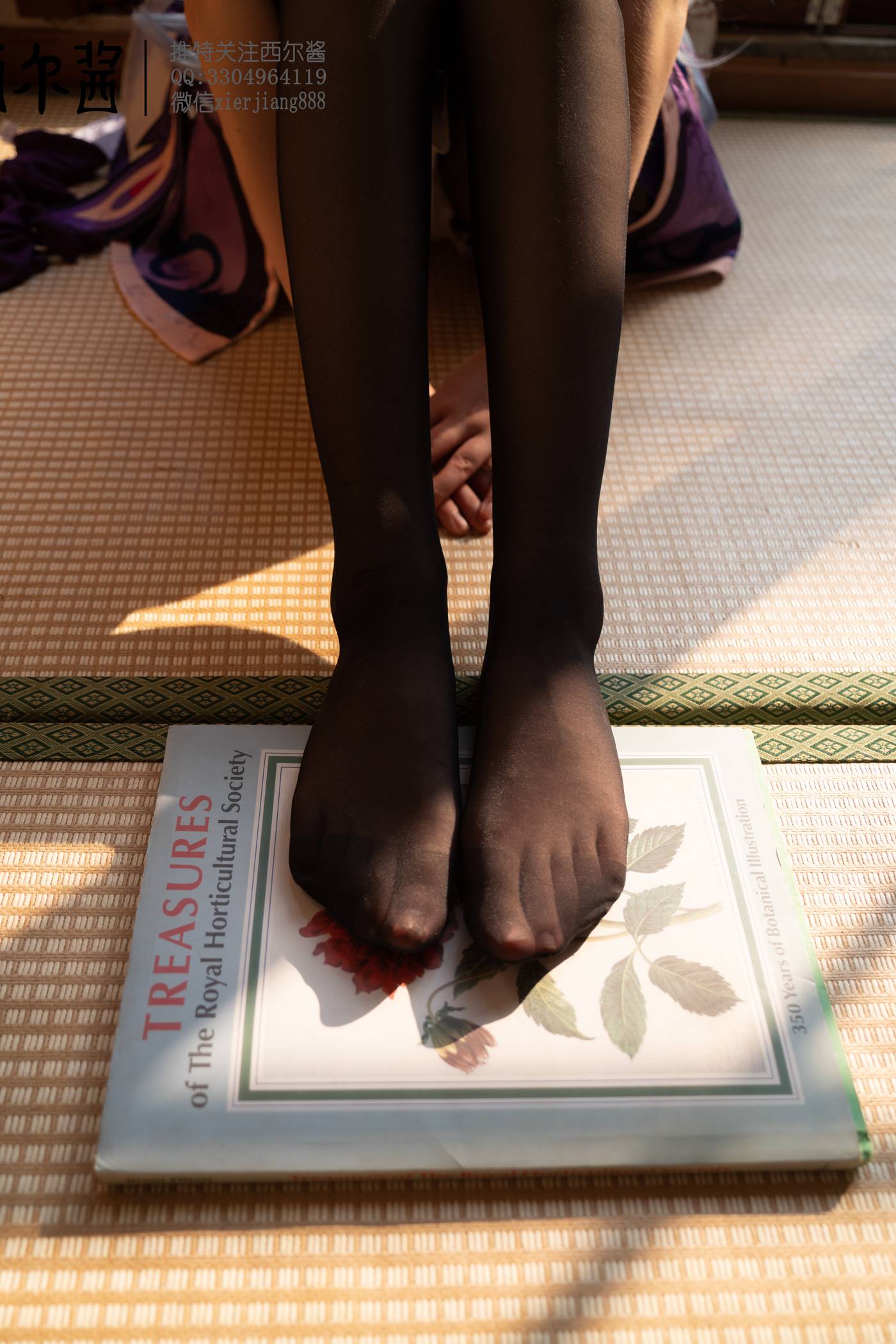 图片[80]-西尔酱 刻晴黑丝[104P] – 速更版-美库