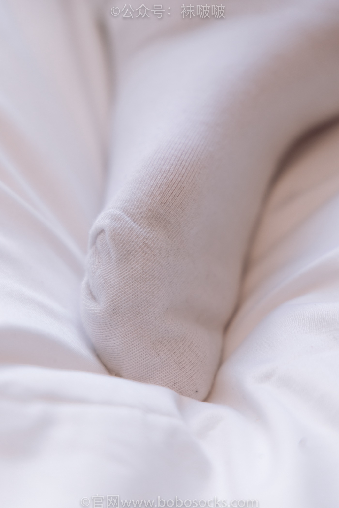 图片[60]-[BoBoSocks袜啵啵]NO.059 砂糖-AJ板鞋、白棉袜、裸足[142P] – 速更版-美库