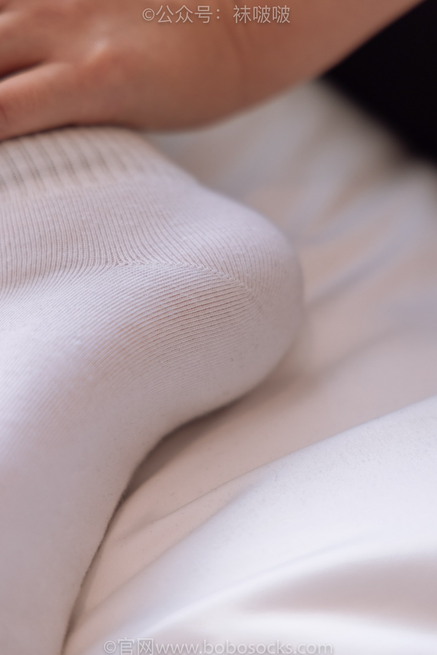 图片[61]-[BoBoSocks袜啵啵]NO.059 砂糖-AJ板鞋、白棉袜、裸足[142P] – 速更版-美库