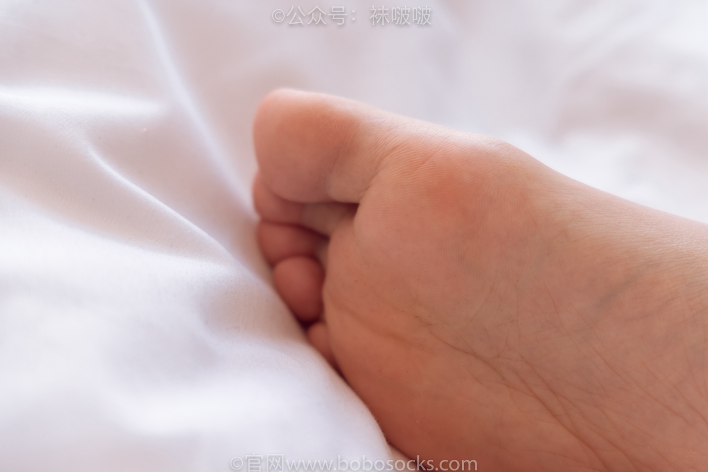 图片[87]-[BoBoSocks袜啵啵]NO.059 砂糖-AJ板鞋、白棉袜、裸足[142P] – 速更版-美库