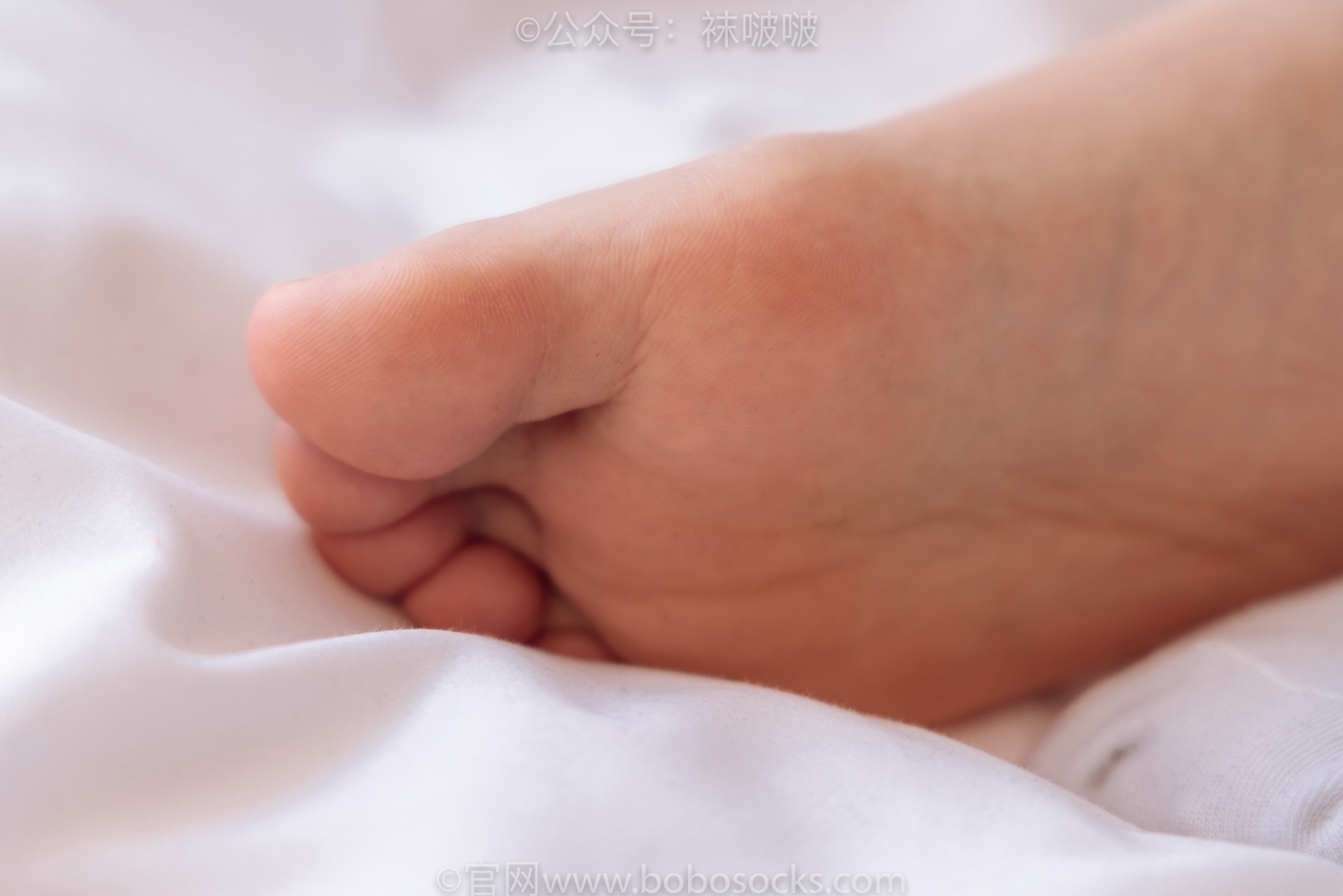 图片[86]-[BoBoSocks袜啵啵]NO.059 砂糖-AJ板鞋、白棉袜、裸足[142P] – 速更版-美库