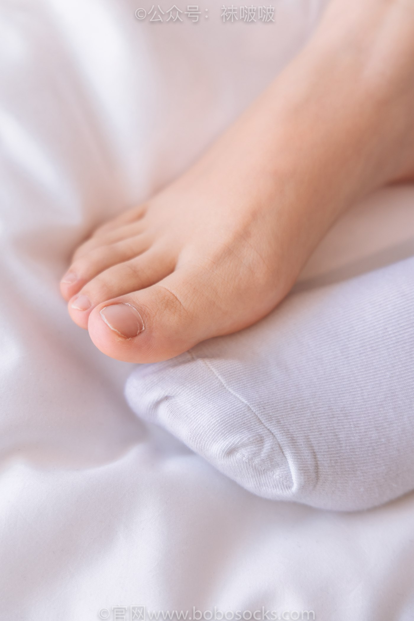 图片[89]-[BoBoSocks袜啵啵]NO.059 砂糖-AJ板鞋、白棉袜、裸足[142P] – 速更版-美库