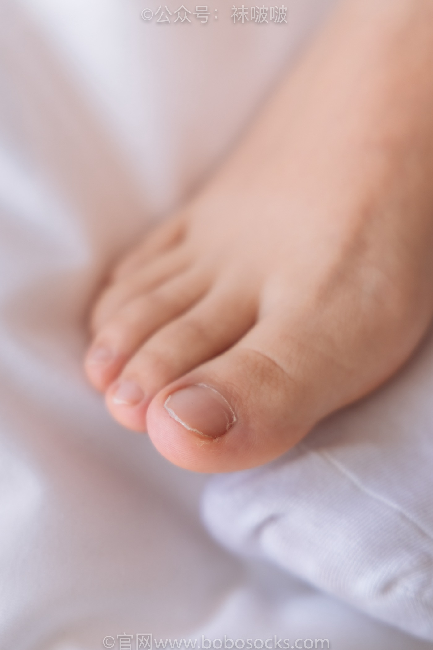 图片[90]-[BoBoSocks袜啵啵]NO.059 砂糖-AJ板鞋、白棉袜、裸足[142P] – 速更版-美库