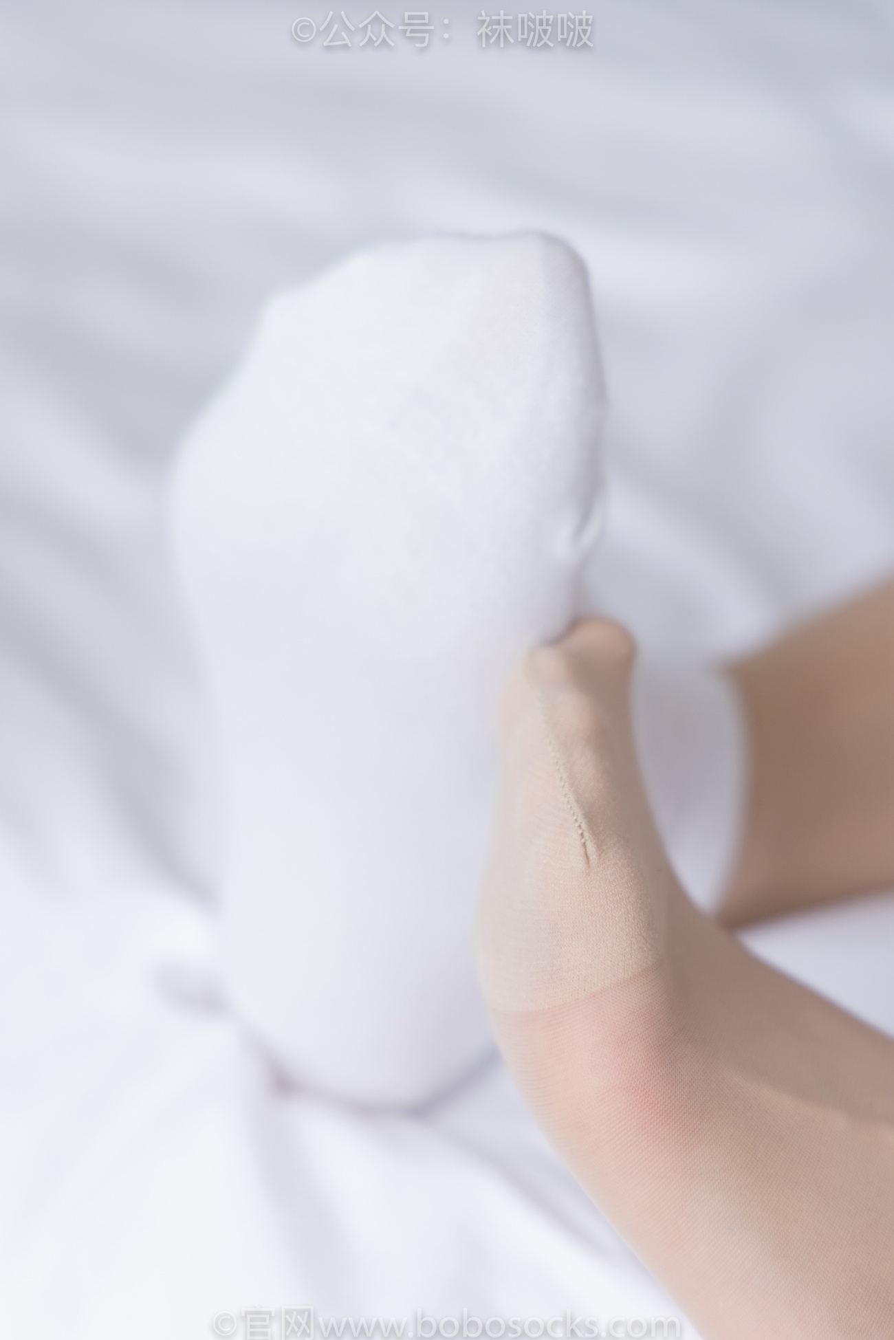 图片[85]-[BoBoSocks袜啵啵]NO.068 菠萝-JK制服、皮鞋、短白棉袜、肉丝[138P] – 速更版-美库