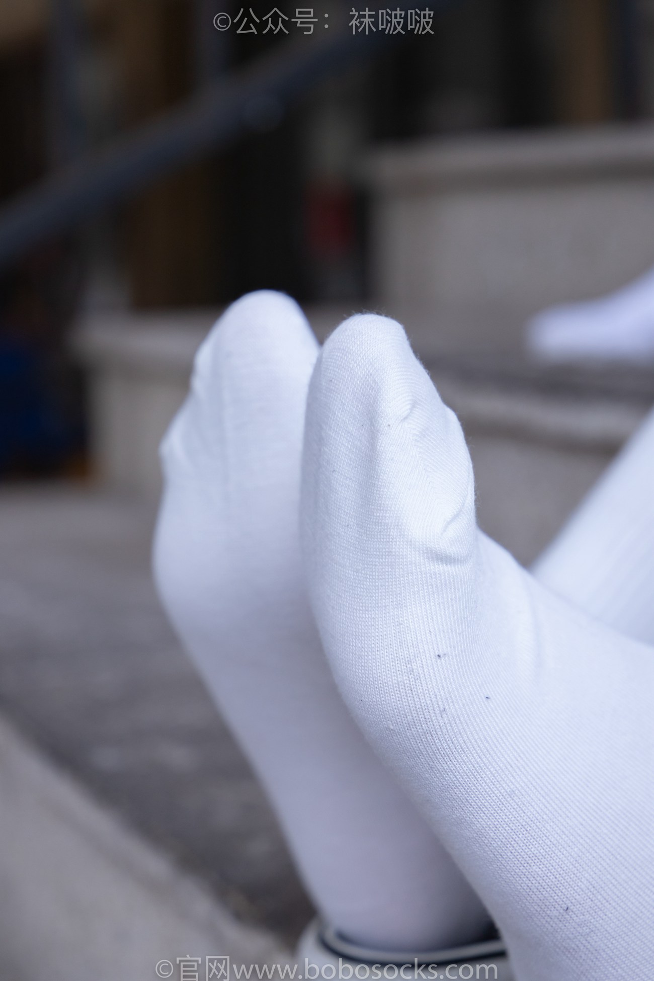 图片[43]-[BoBoSocks袜啵啵]NO.069 小甜豆-vans板鞋、白棉袜、肉丝[135P] – 速更版-美库