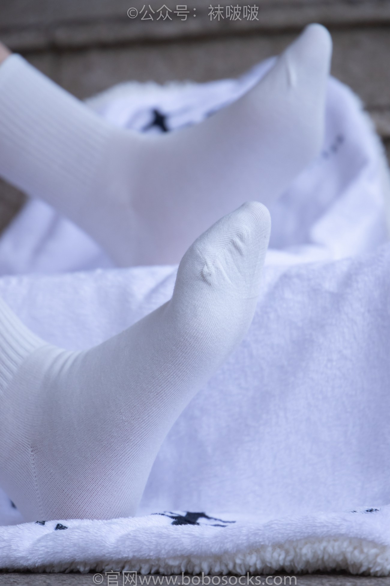 图片[50]-[BoBoSocks袜啵啵]NO.069 小甜豆-vans板鞋、白棉袜、肉丝[135P] – 速更版-美库