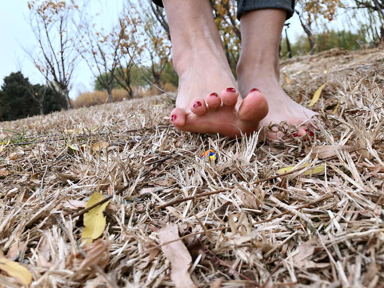 图片[66]-安乔乔儿(Nia乔乔) 红甲裸足[129P] – 速更版-美库