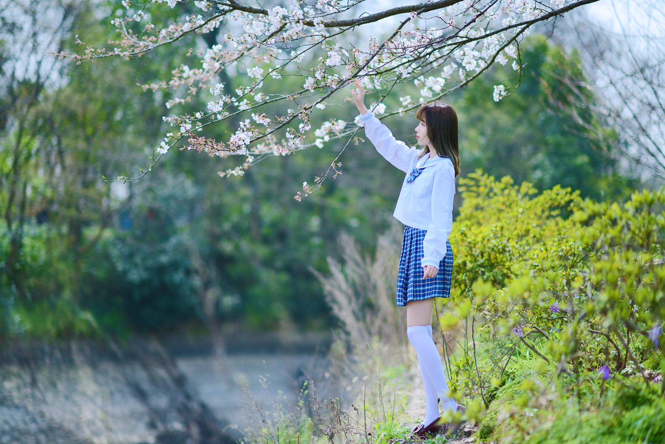 图片[23]-Fushii_海堂 – 樱花树下[41P] – 速更版-美库