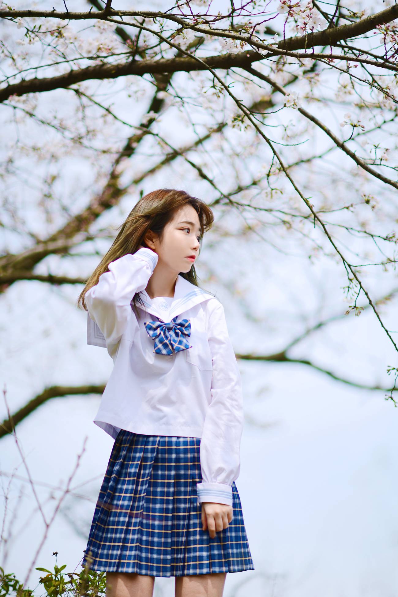 图片[26]-Fushii_海堂 – 樱花树下[41P] – 速更版-美库