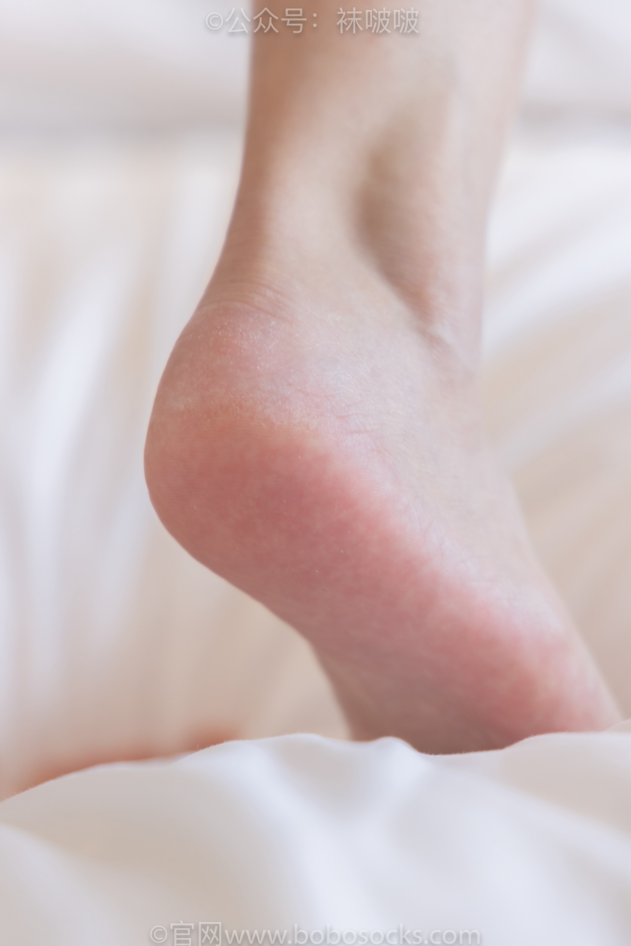 图片[128]-[BoBoSocks袜啵啵]NO.088 小安-高跟鞋、凉鞋、肉丝[140P] – 速更版-美库