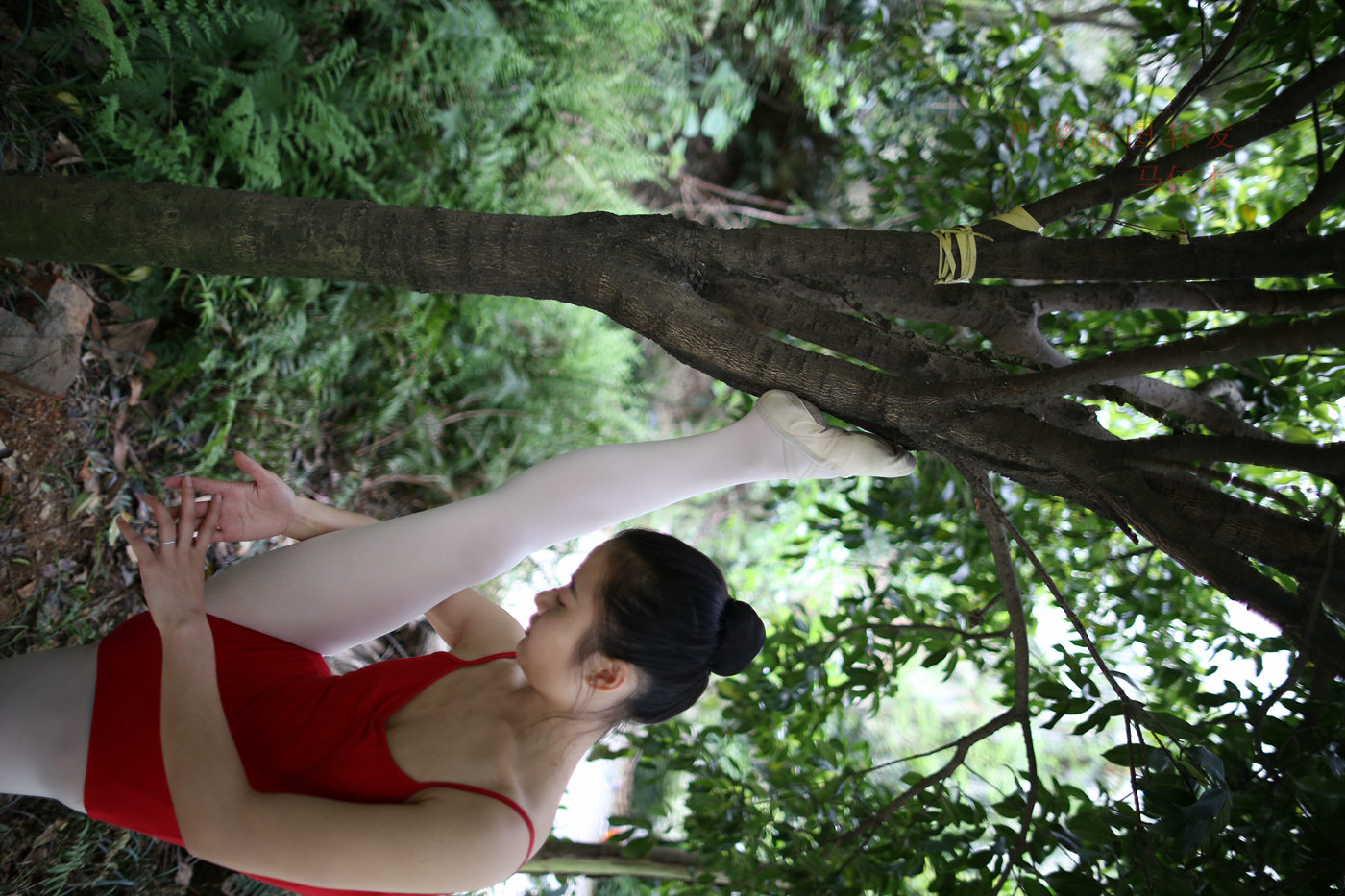 图片[38]-大西瓜爱牙膏-2018 10月活动 模特2（二） 舞蹈 （2） [144P] – 速更版-美库