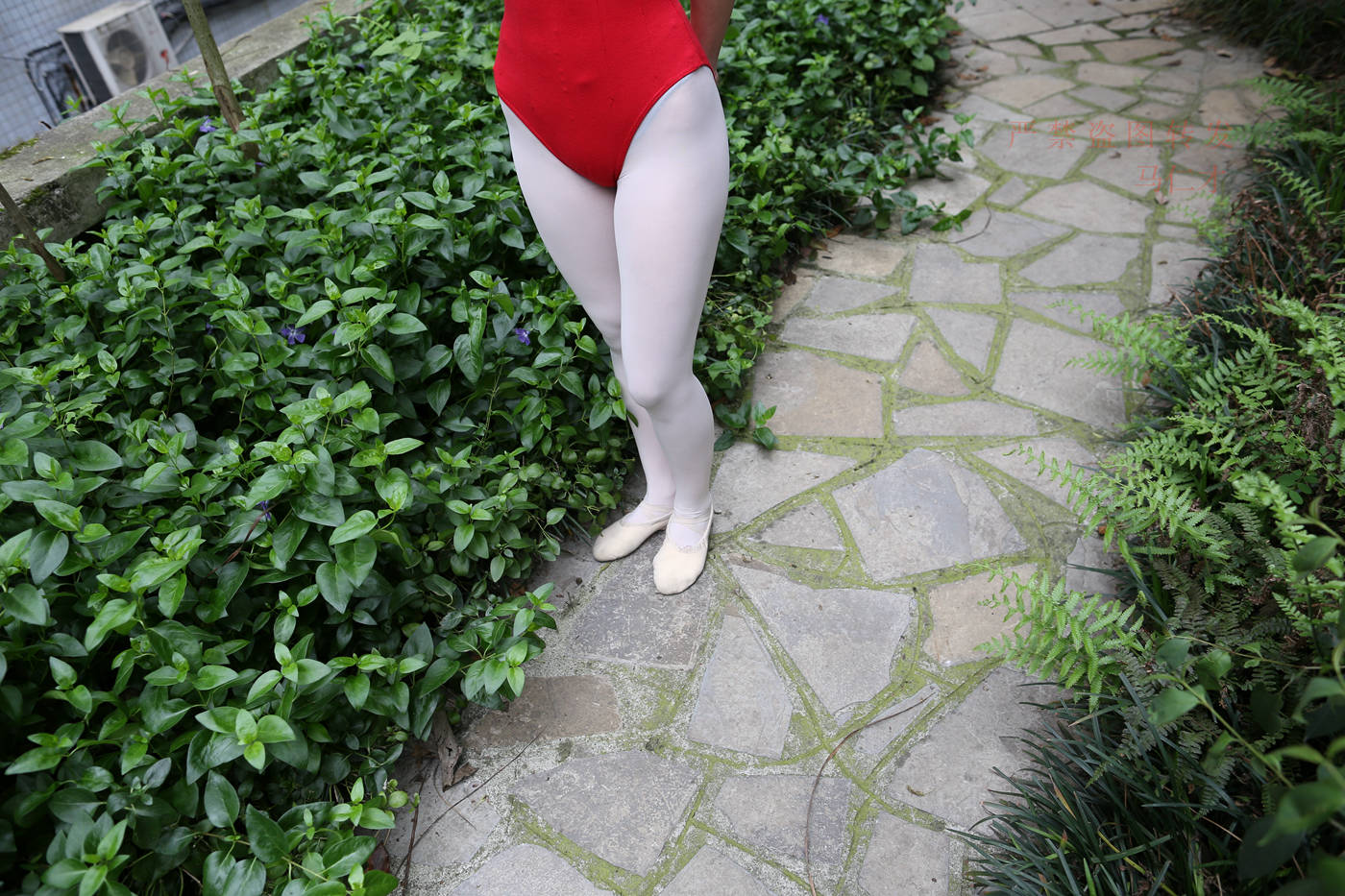 图片[85]-大西瓜爱牙膏-2018 10月活动 模特2（二） 舞蹈 （2） [144P] – 速更版-美库