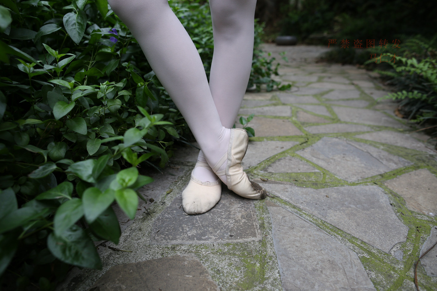 图片[91]-大西瓜爱牙膏-2018 10月活动 模特2（二） 舞蹈 （2） [144P] – 速更版-美库