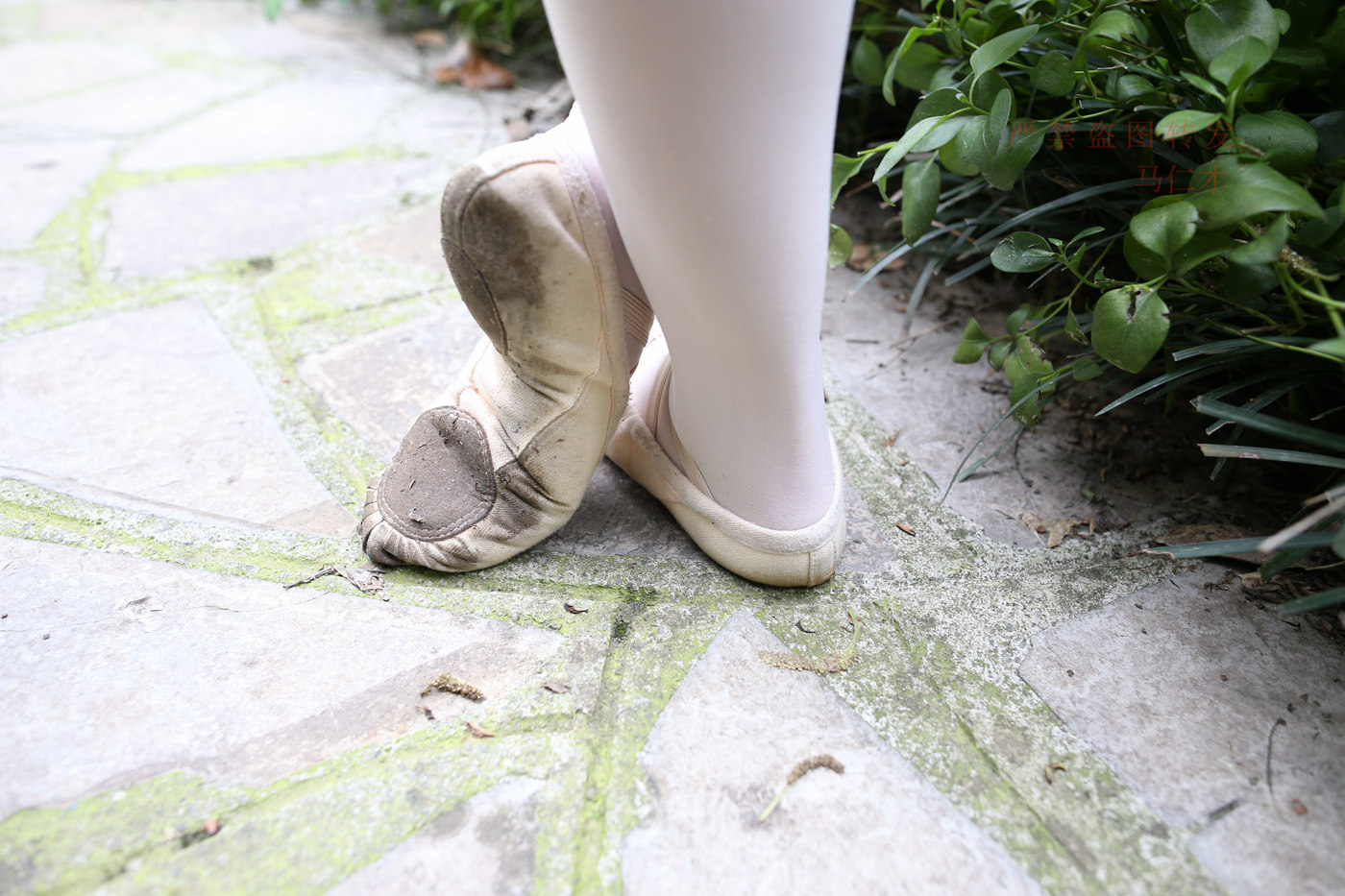 图片[99]-大西瓜爱牙膏-2018 10月活动 模特2（二） 舞蹈 （2） [144P] – 速更版-美库