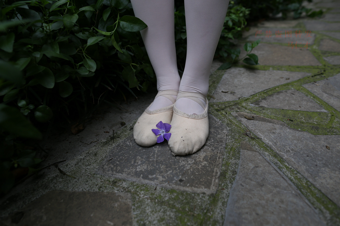 图片[104]-大西瓜爱牙膏-2018 10月活动 模特2（二） 舞蹈 （2） [144P] – 速更版-美库