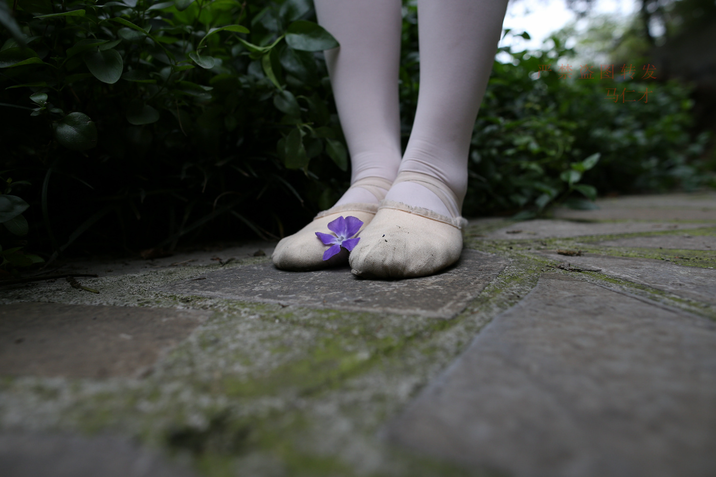 图片[105]-大西瓜爱牙膏-2018 10月活动 模特2（二） 舞蹈 （2） [144P] – 速更版-美库