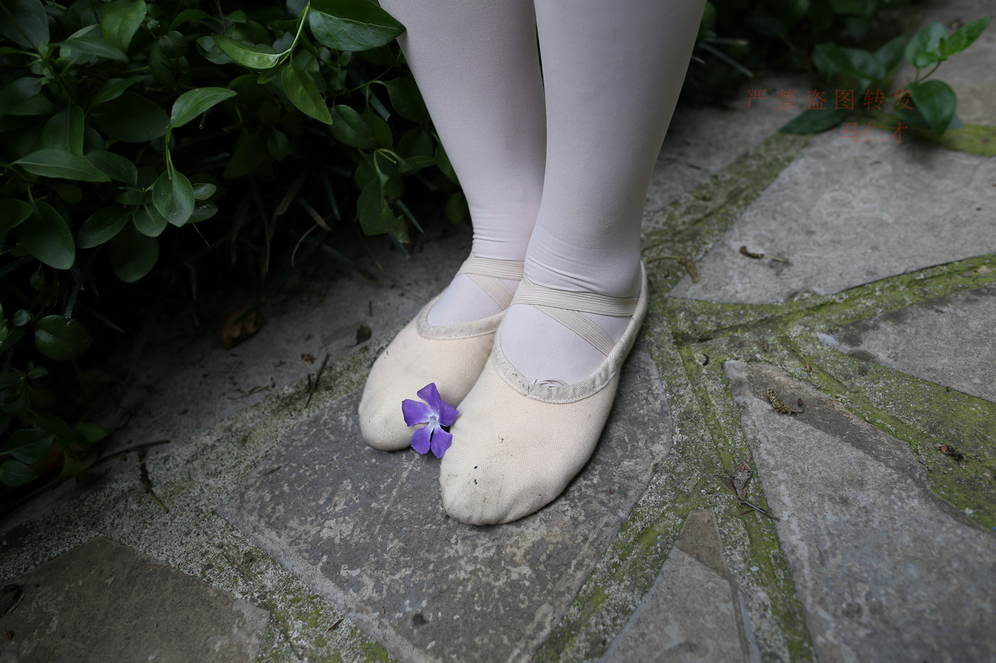 图片[106]-大西瓜爱牙膏-2018 10月活动 模特2（二） 舞蹈 （2） [144P] – 速更版-美库