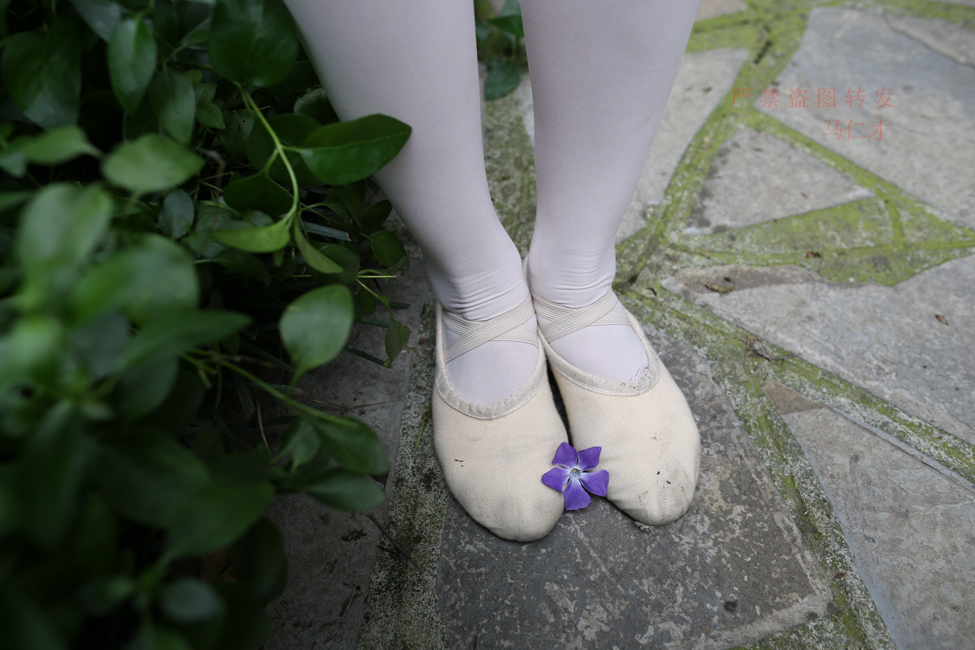 图片[107]-大西瓜爱牙膏-2018 10月活动 模特2（二） 舞蹈 （2） [144P] – 速更版-美库