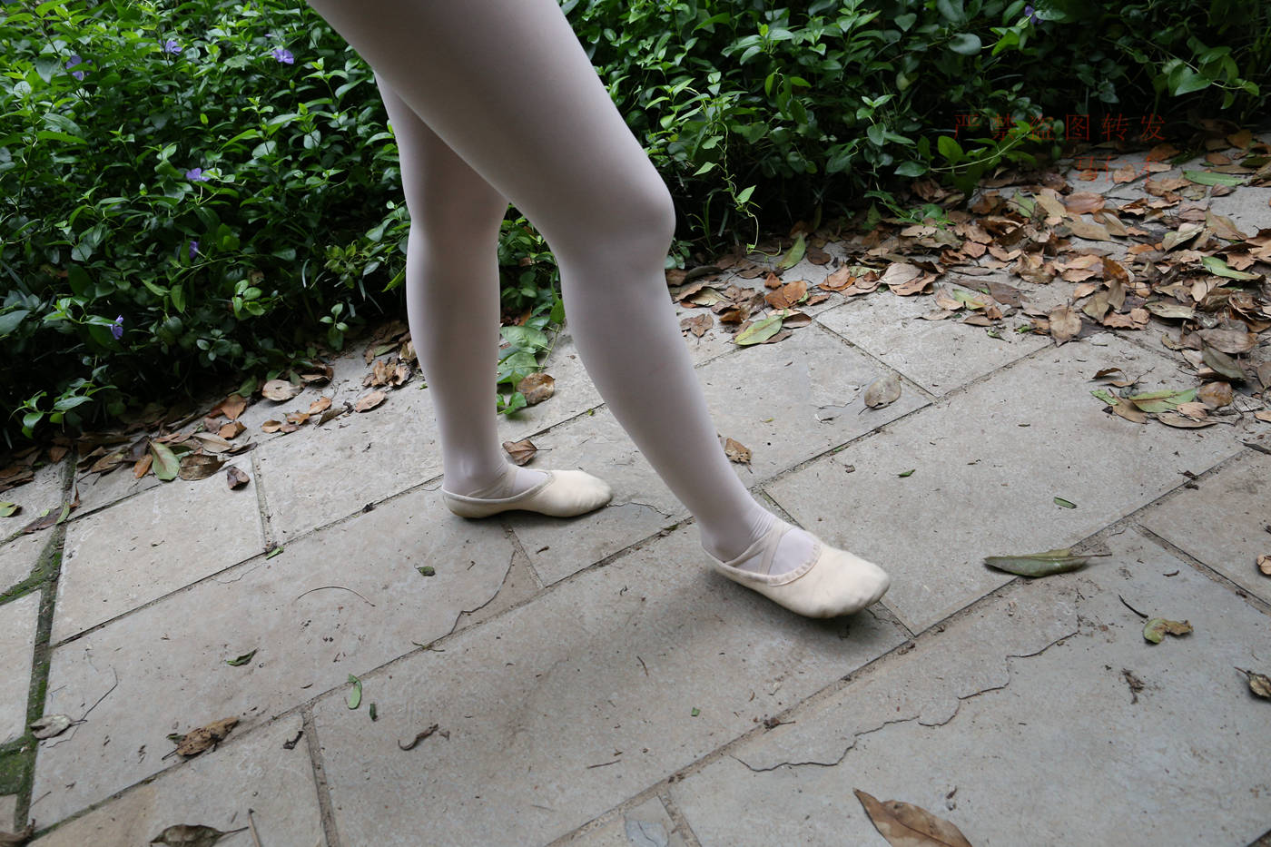 图片[63]-大西瓜爱牙膏-2018 10月活动 模特2（二） 舞蹈 （3） [153P] – 速更版-美库