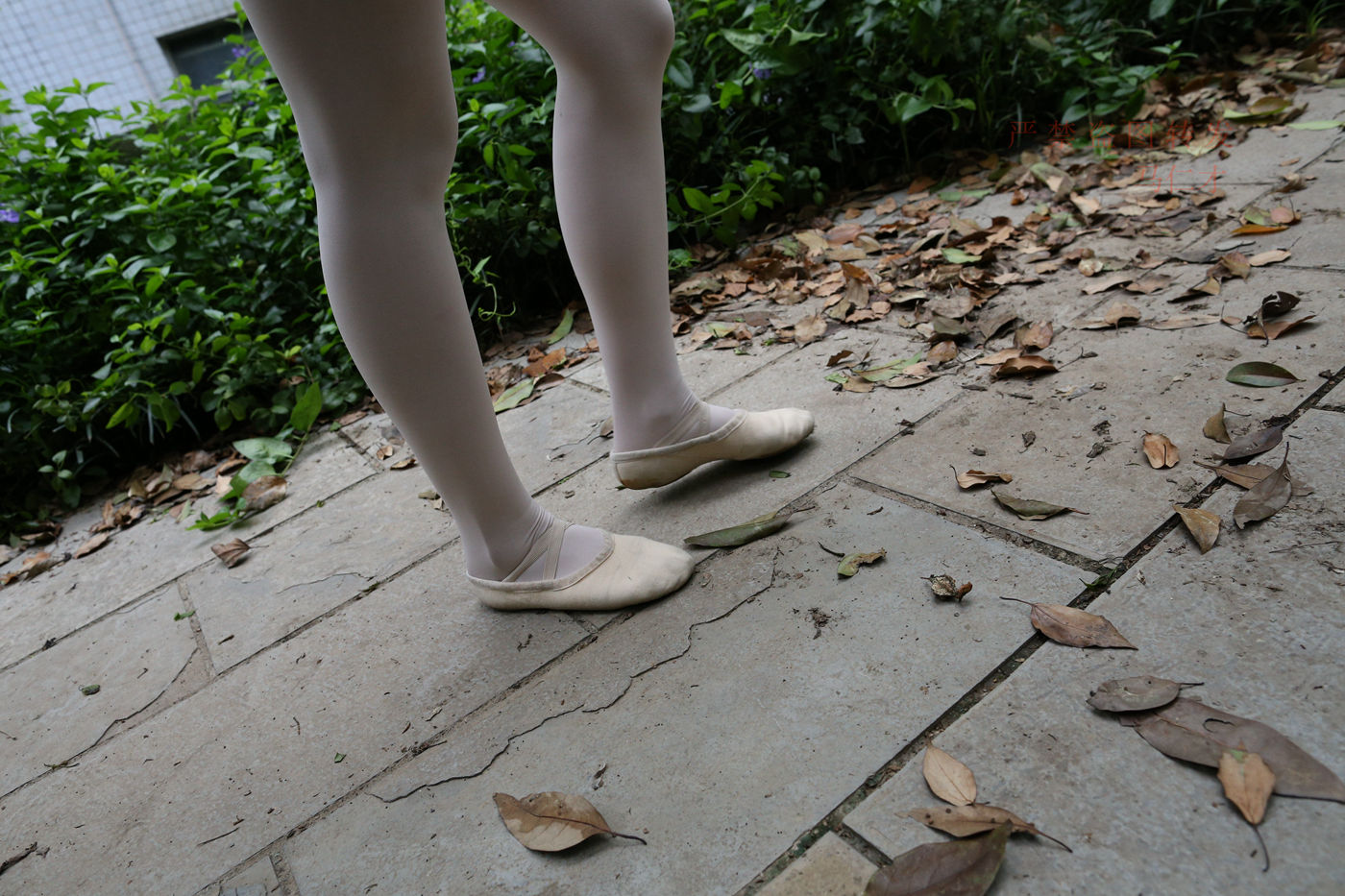 图片[64]-大西瓜爱牙膏-2018 10月活动 模特2（二） 舞蹈 （3） [153P] – 速更版-美库