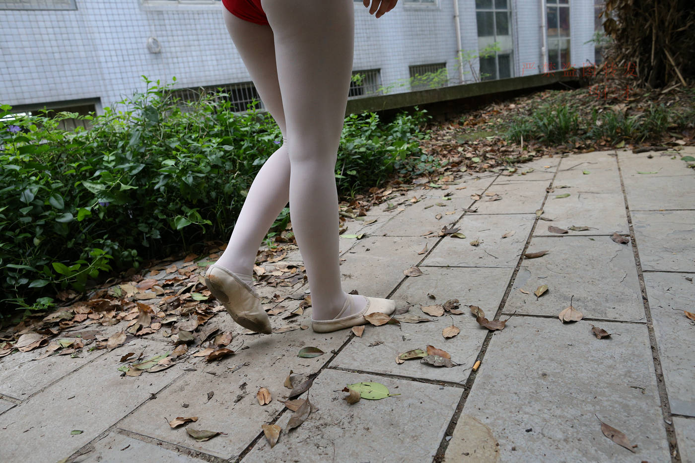 图片[66]-大西瓜爱牙膏-2018 10月活动 模特2（二） 舞蹈 （3） [153P] – 速更版-美库