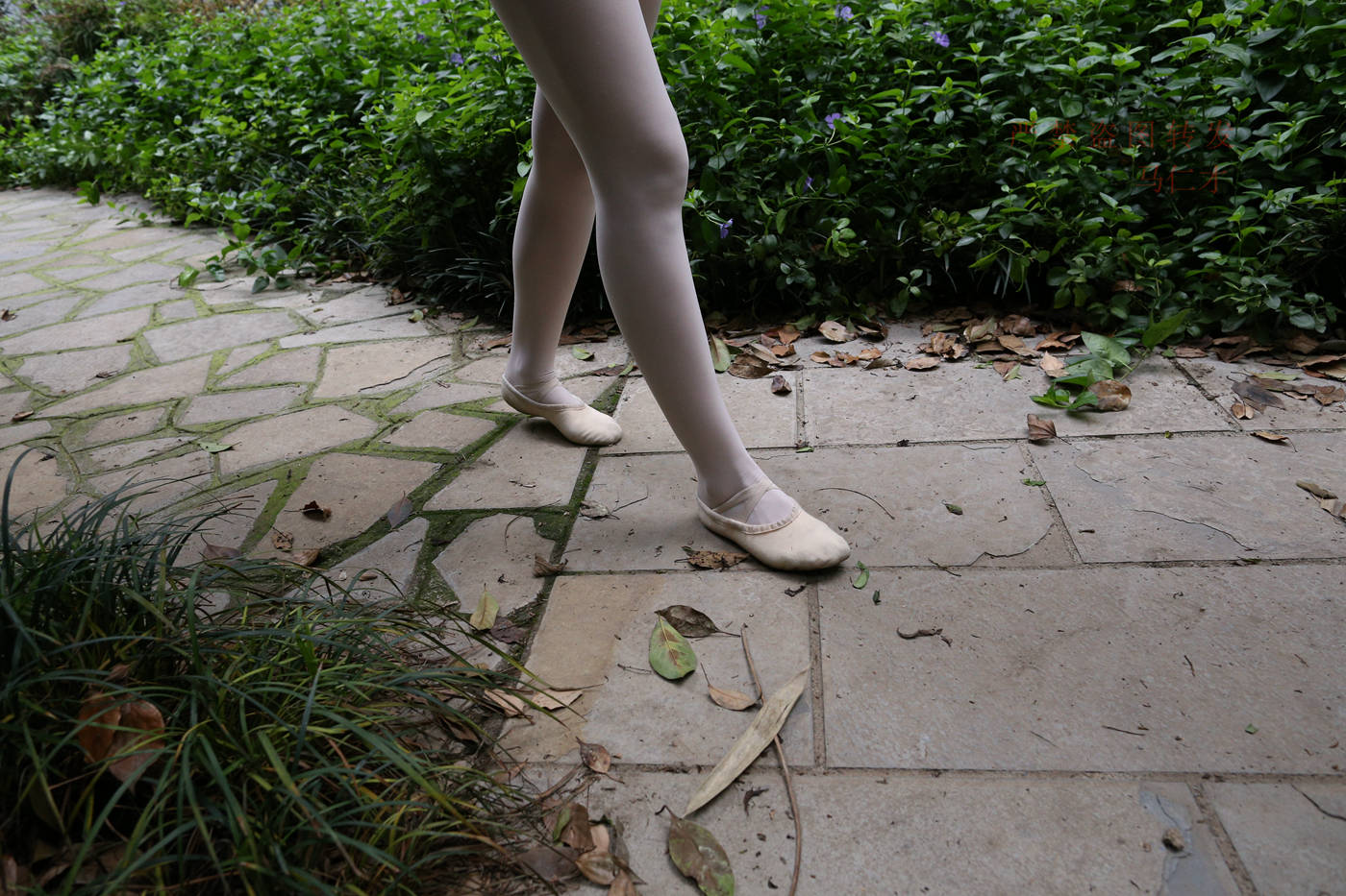 图片[89]-大西瓜爱牙膏-2018 10月活动 模特2（二） 舞蹈 （3） [153P] – 速更版-美库