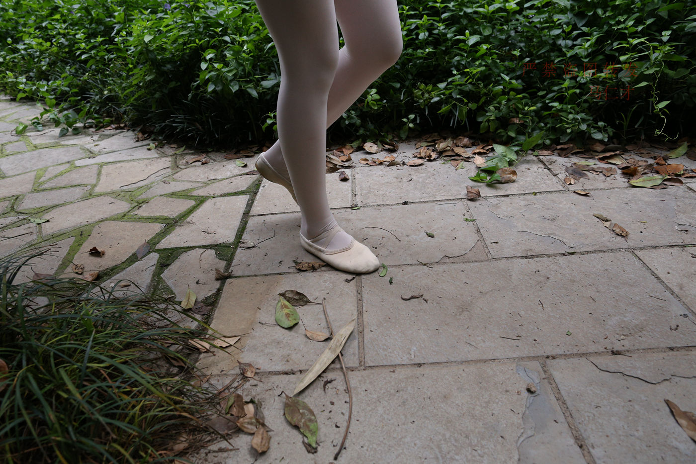 图片[90]-大西瓜爱牙膏-2018 10月活动 模特2（二） 舞蹈 （3） [153P] – 速更版-美库