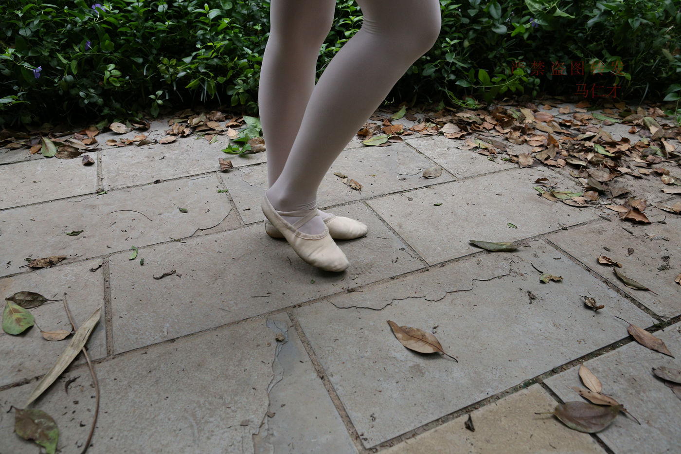 图片[91]-大西瓜爱牙膏-2018 10月活动 模特2（二） 舞蹈 （3） [153P] – 速更版-美库