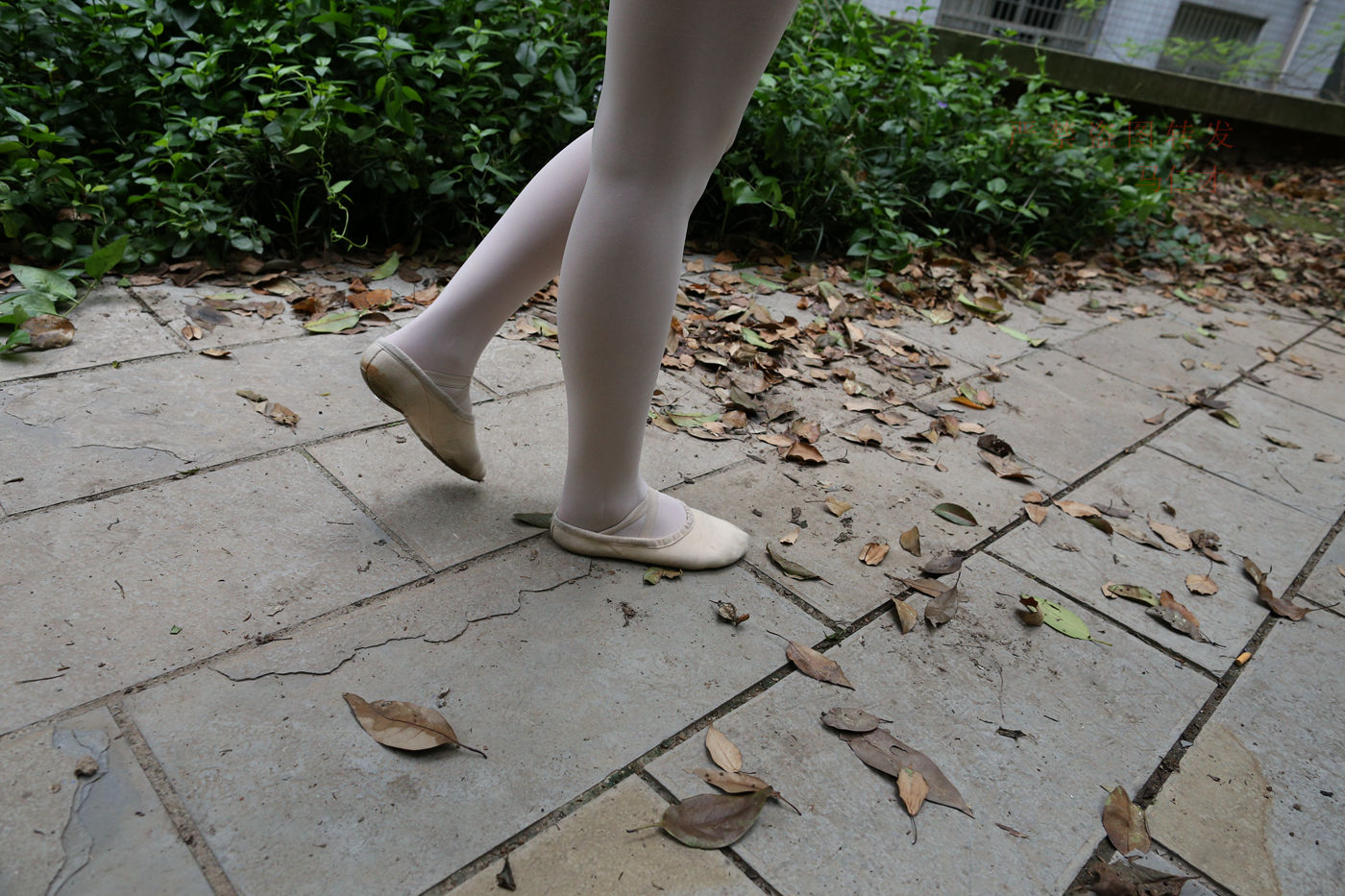 图片[92]-大西瓜爱牙膏-2018 10月活动 模特2（二） 舞蹈 （3） [153P] – 速更版-美库