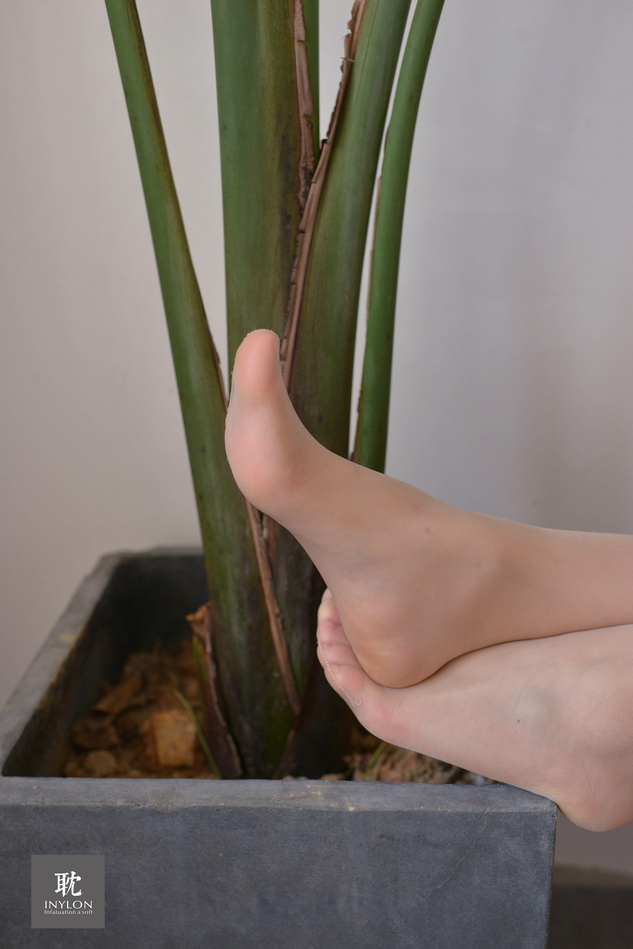 图片[12]-[IESS异思趣向] 普惠集 233 安静的小婕2 [71P] – 速更版-美库