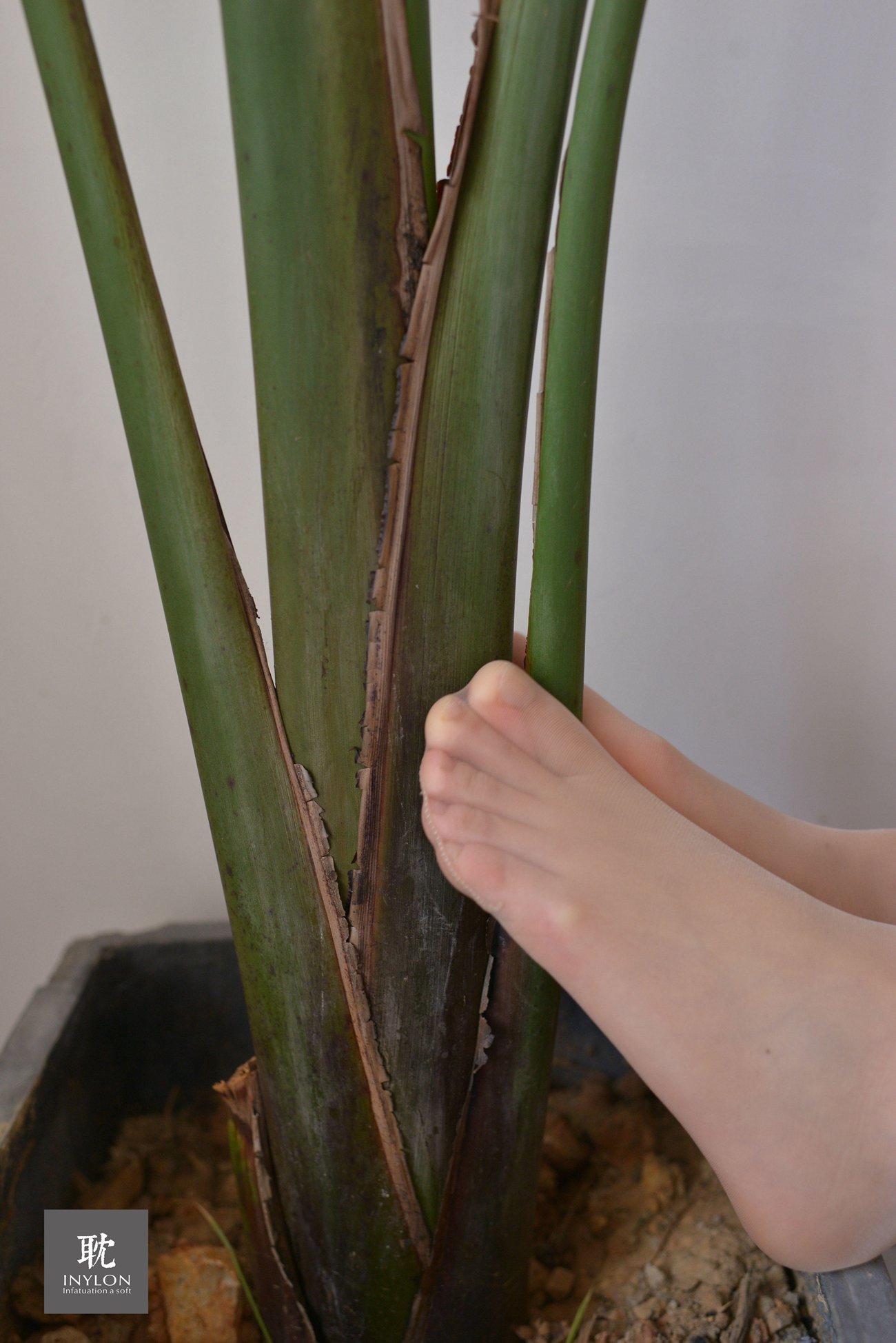 图片[14]-[IESS异思趣向] 普惠集 233 安静的小婕2 [71P] – 速更版-美库