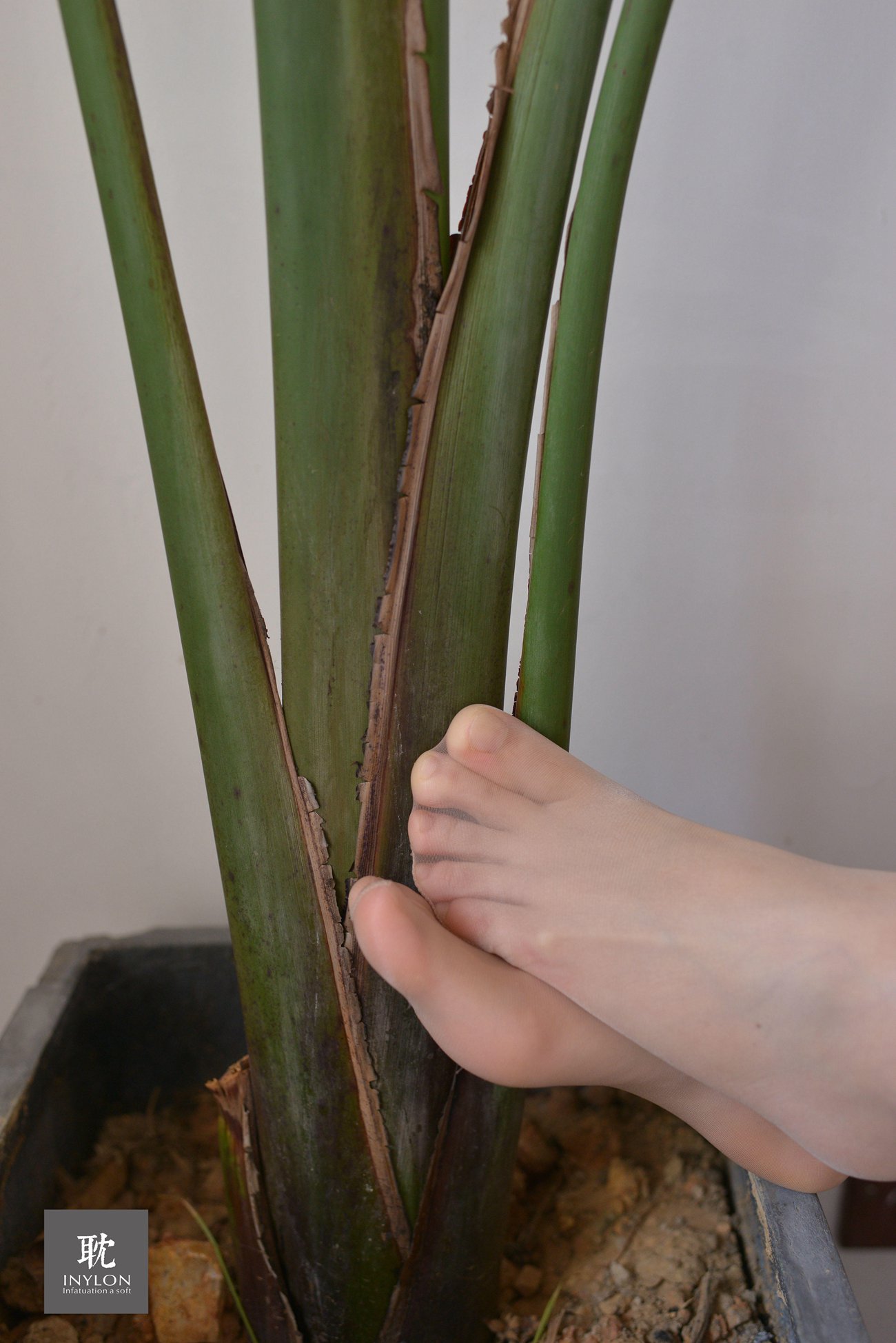 图片[15]-[IESS异思趣向] 普惠集 233 安静的小婕2 [71P] – 速更版-美库