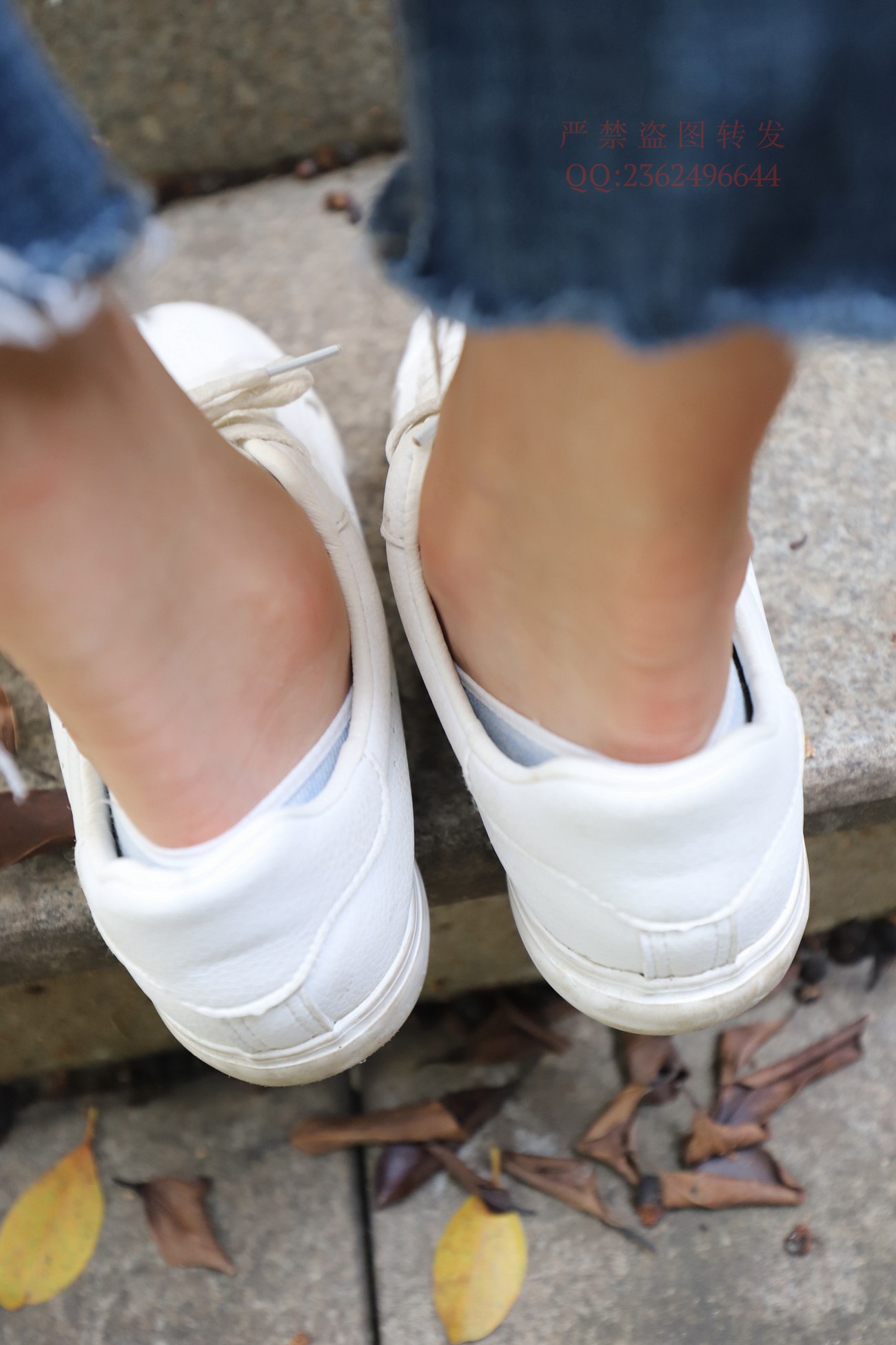 图片[81]-大西瓜爱牙膏-2018 11月活动 模特3（三） 船袜 [202P] – 速更版-美库