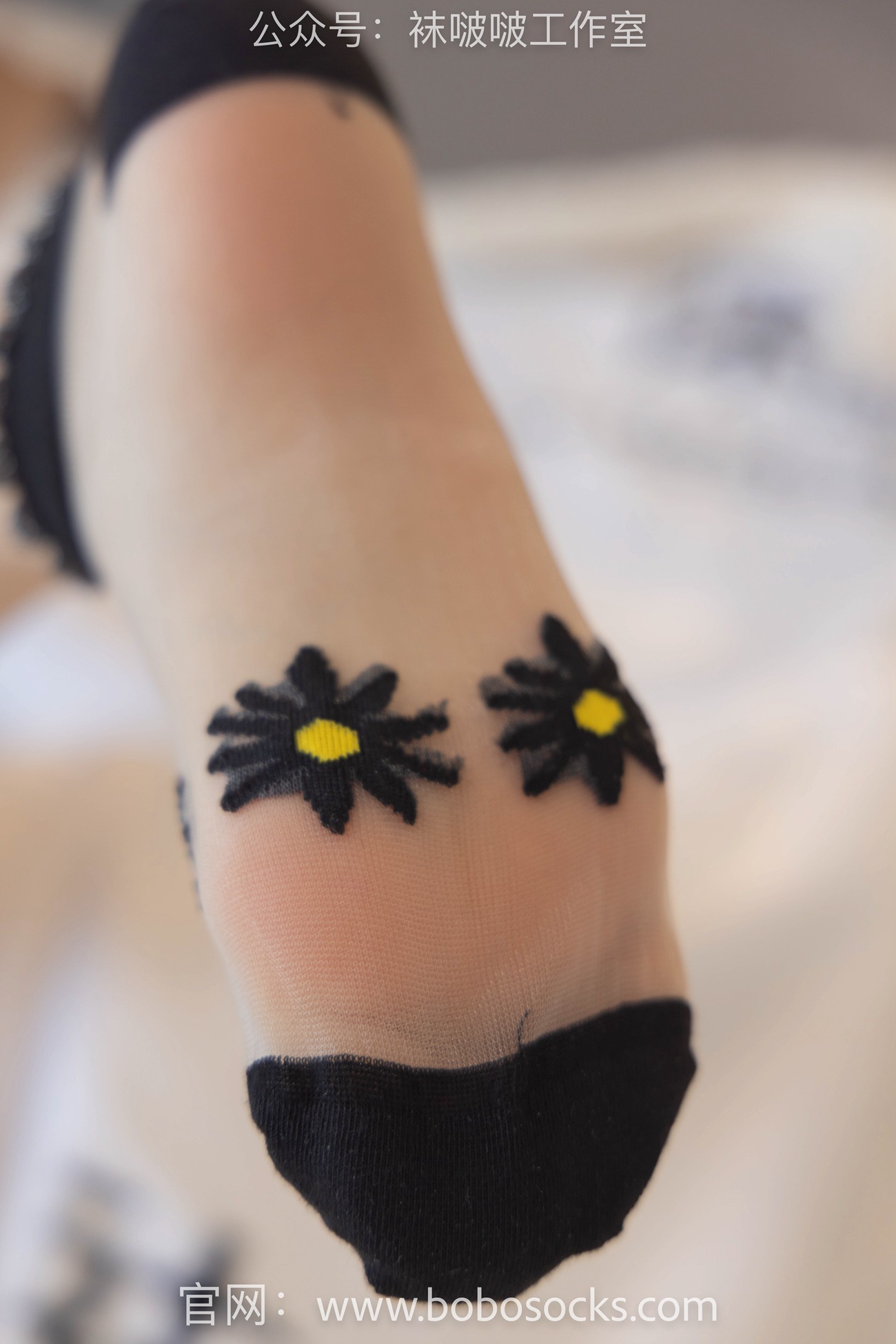 图片[67]-[BoBoSocks袜啵啵]NO.097 稚予-板鞋、玻璃丝短袜、肉丝[140P] – 速更版-美库