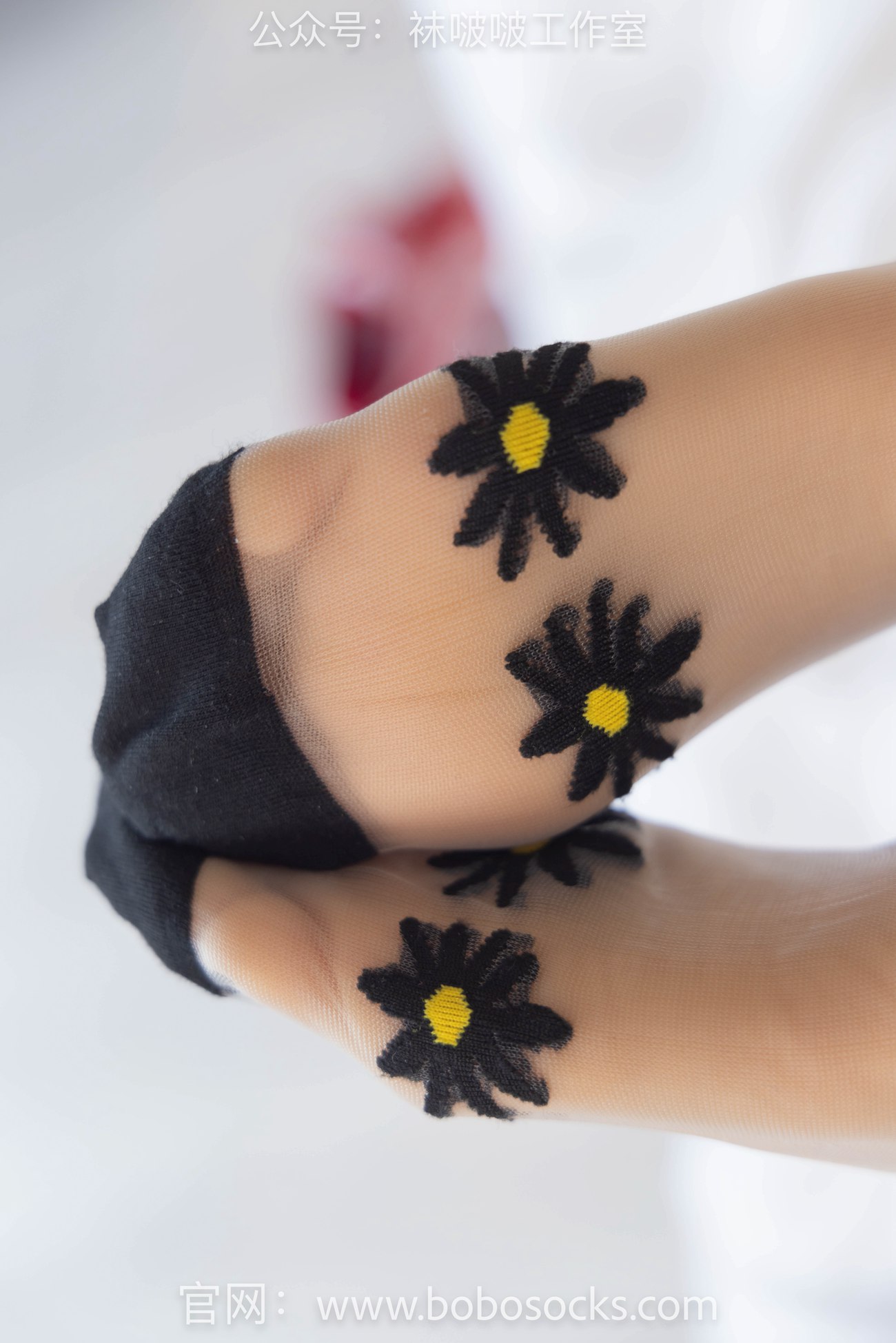 图片[86]-[BoBoSocks袜啵啵]NO.097 稚予-板鞋、玻璃丝短袜、肉丝[140P] – 速更版-美库