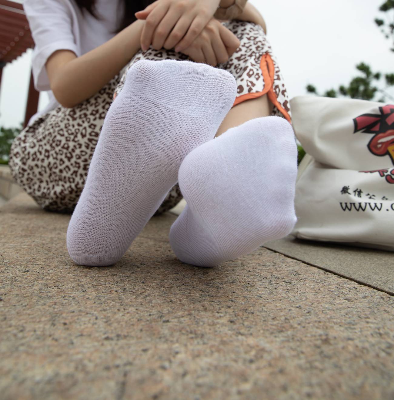 图片[85]-物恋传媒 No.443 猫耳-风的静默 [170P] – 速更版-美库