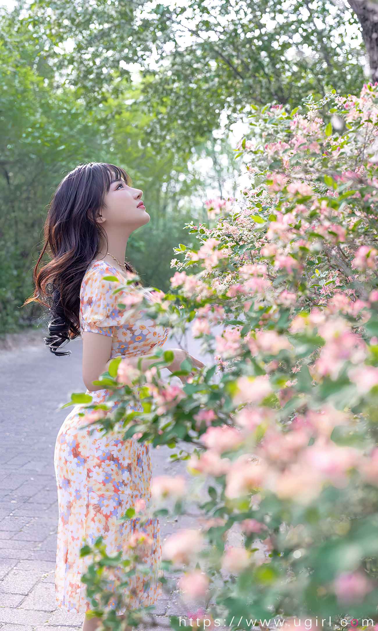 图片[17]-[爱尤物]2022 NO.2331 西门小玉 花开菜靡[35P] – 速更版-美库