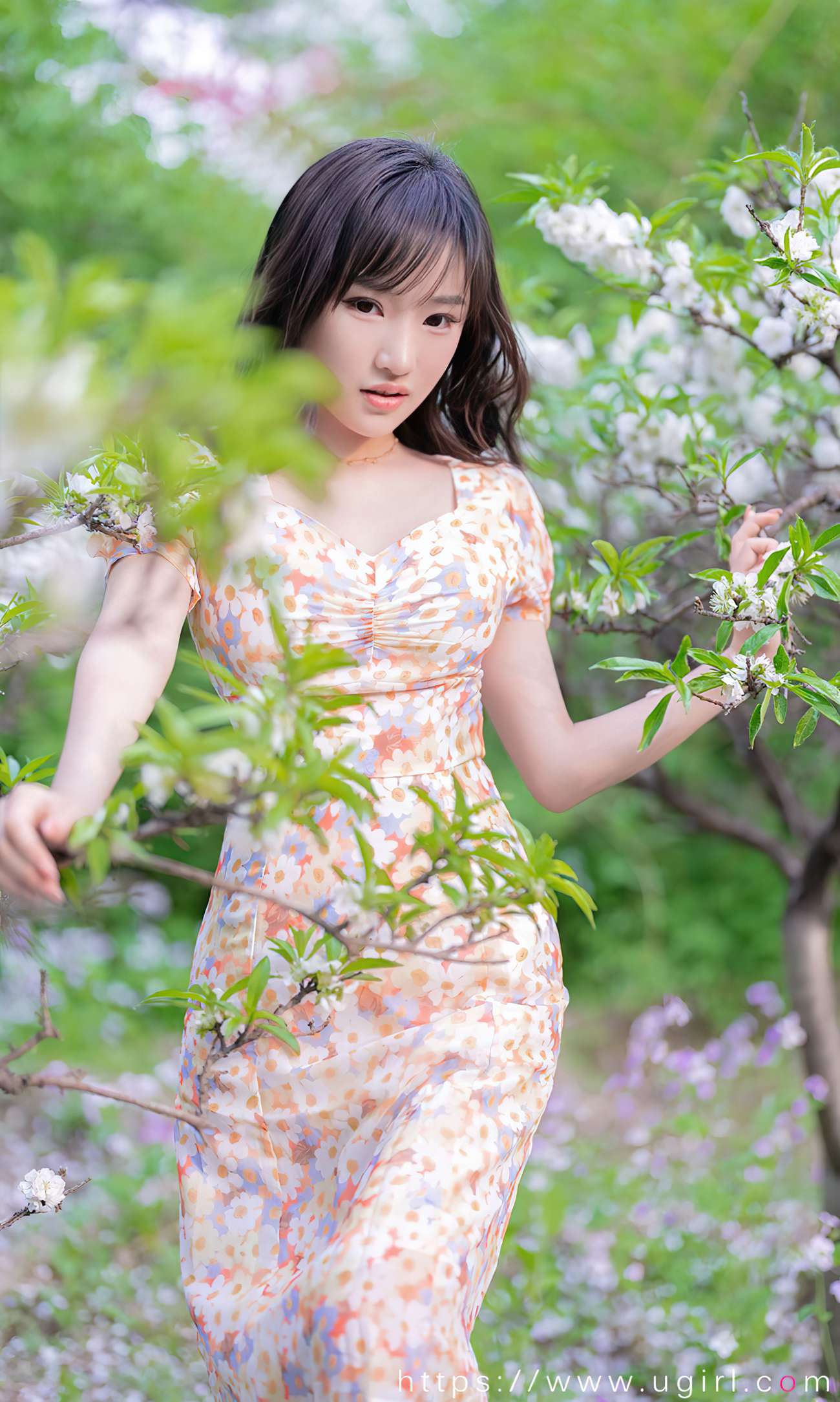 图片[22]-[爱尤物]2022 NO.2331 西门小玉 花开菜靡[35P] – 速更版-美库