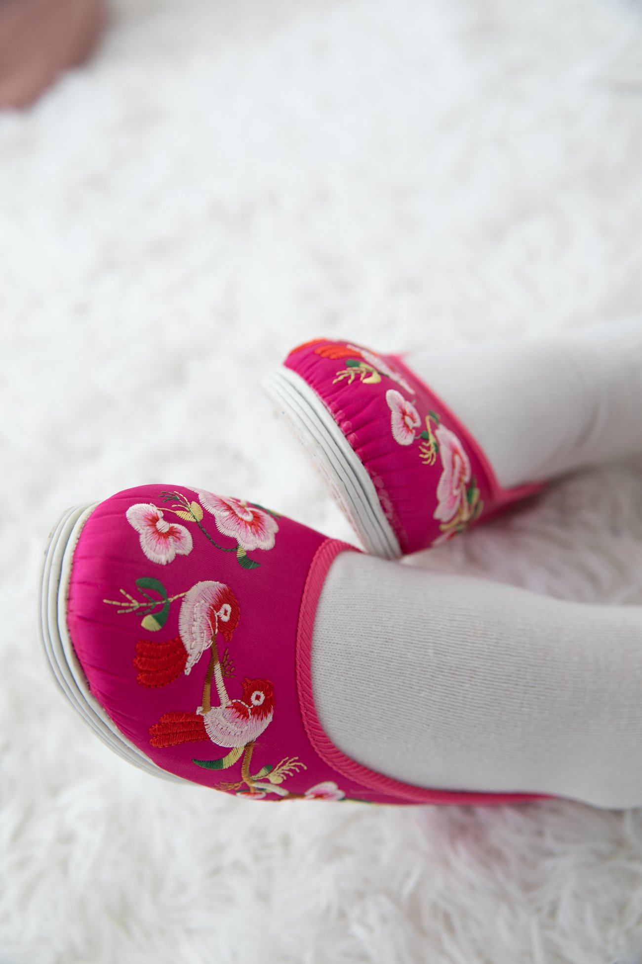 图片[161]-物恋传媒 No.455 elise-梧桐锁清秋 [188P] – 速更版-美库