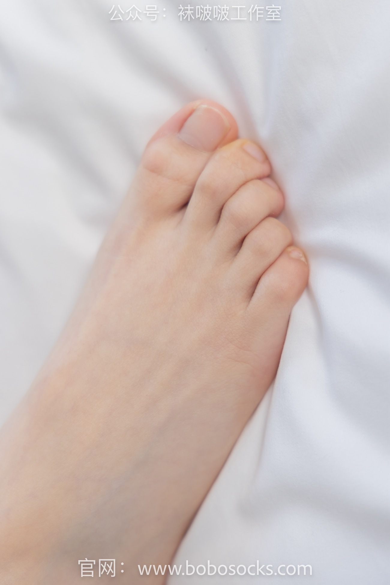 图片[112]-[BoBoSocks袜啵啵]NO.101 苏苏-板鞋、白棉袜、裸足[140P] – 速更版-美库