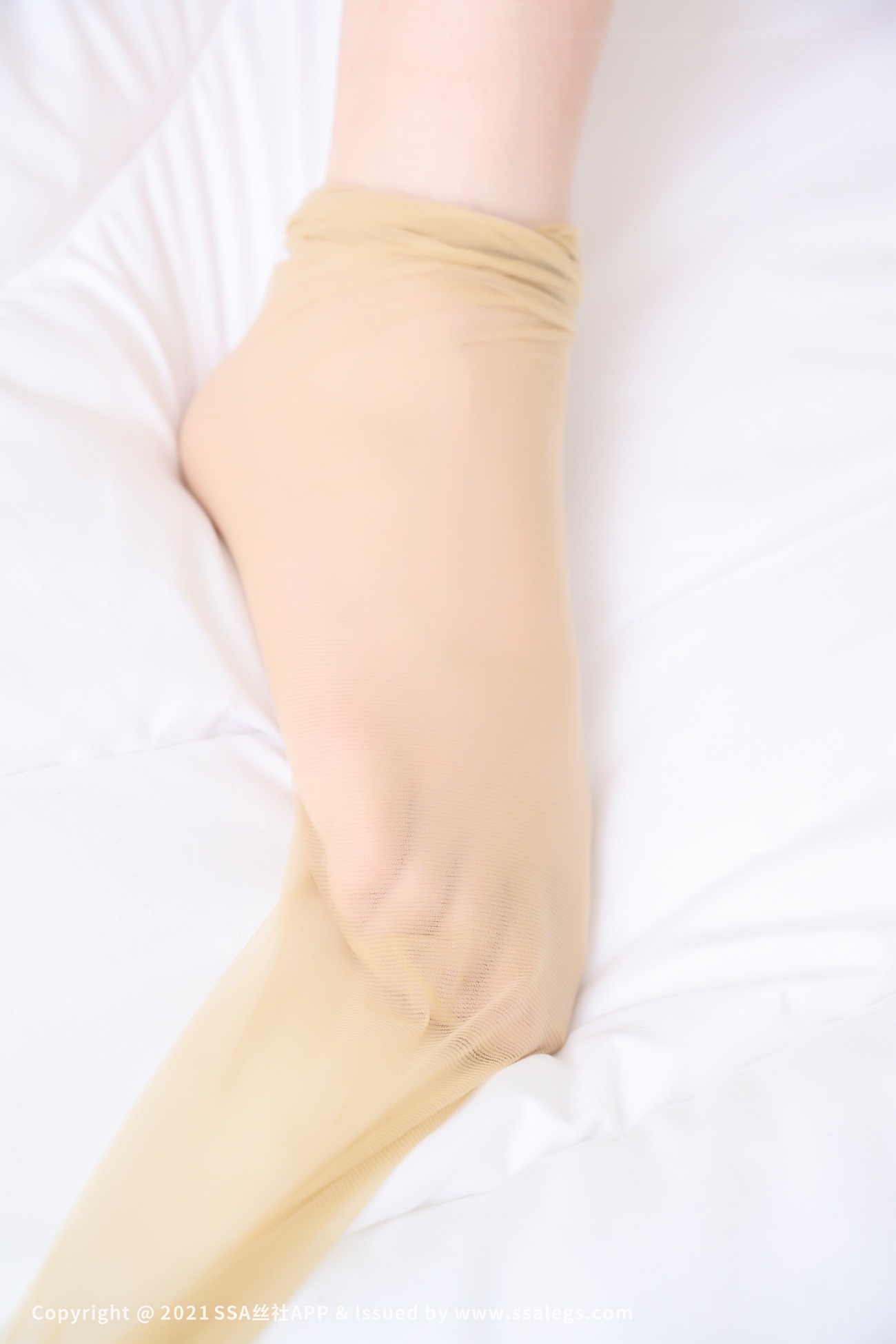 图片[81]-[SSA丝社]超清写真 NO.721 模特薇薇的浪莎丝袜美脚（下）[96P] – 速更版-美库