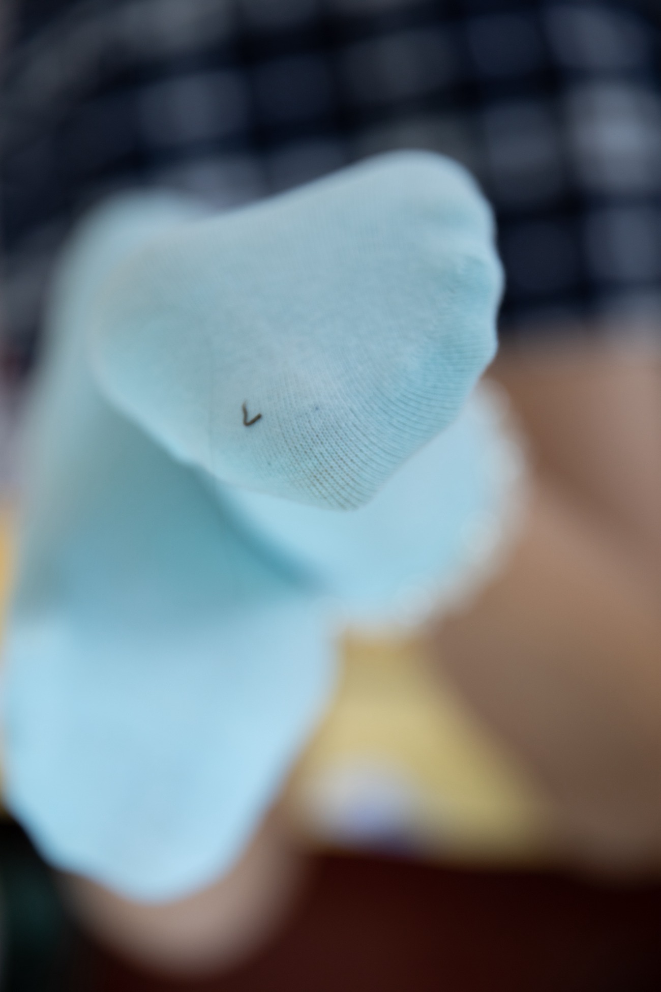 图片[194]-物恋传媒 No.472 心心-紫叶醡浆草的遇见 [227P] – 速更版-美库