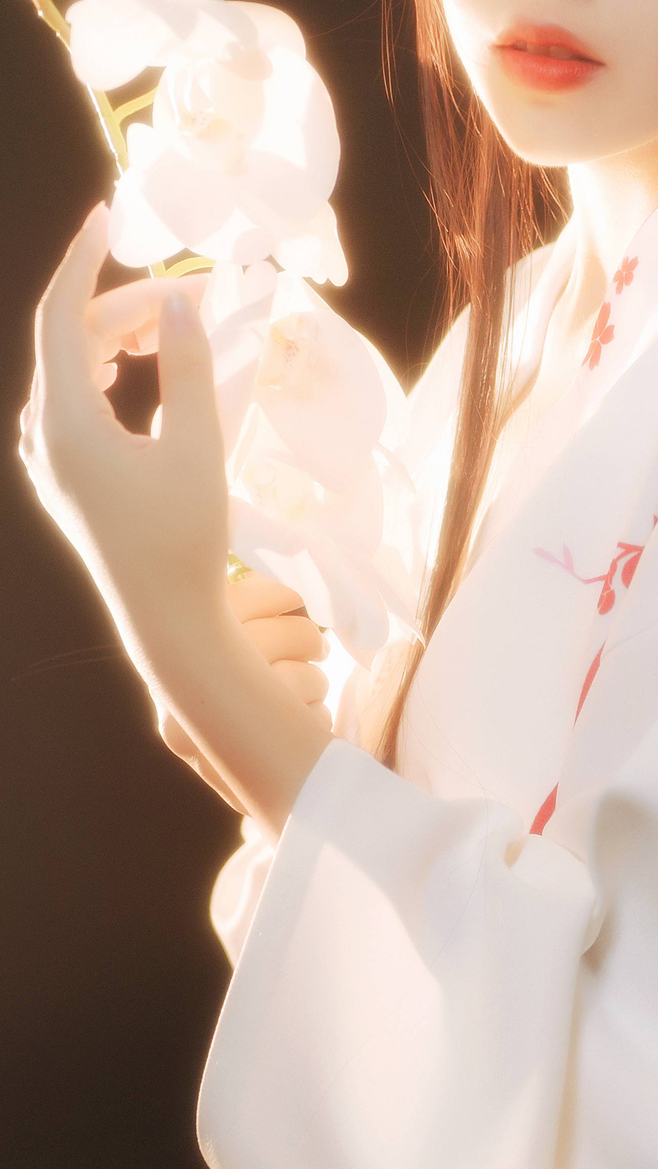 图片[27]-不呆猫 – 和服[26P] – 速更版-美库