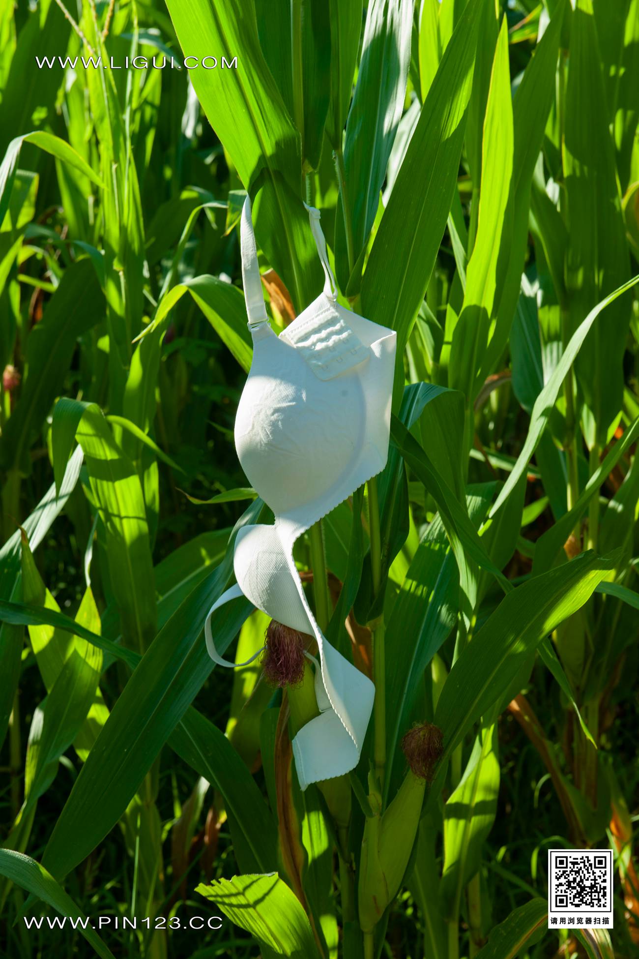 图片[21]-[Ligui丽柜]2022.08.04 七夕-田园春色 甜甜&心心[85+1P] – 速更版-美库